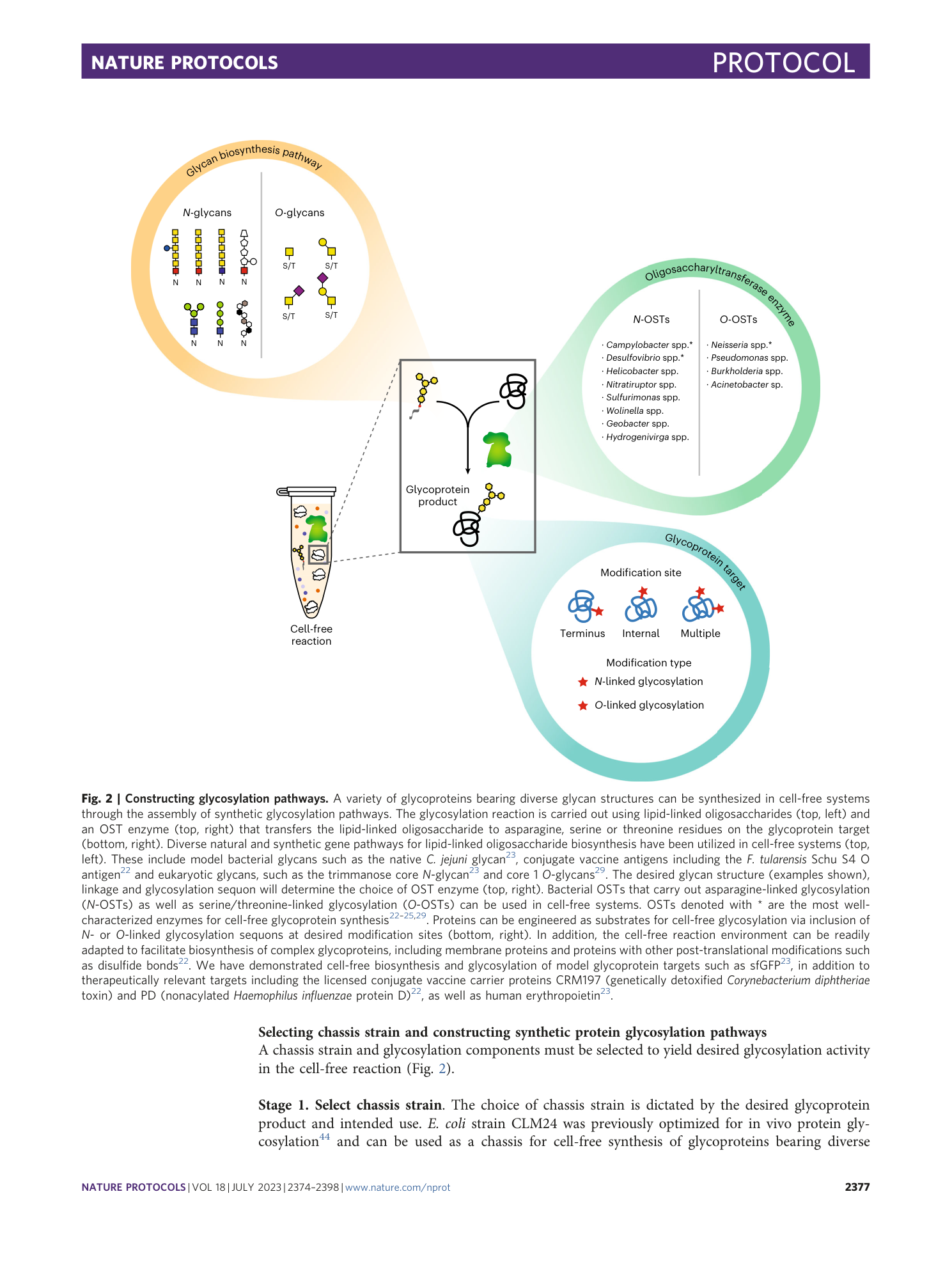 page-4