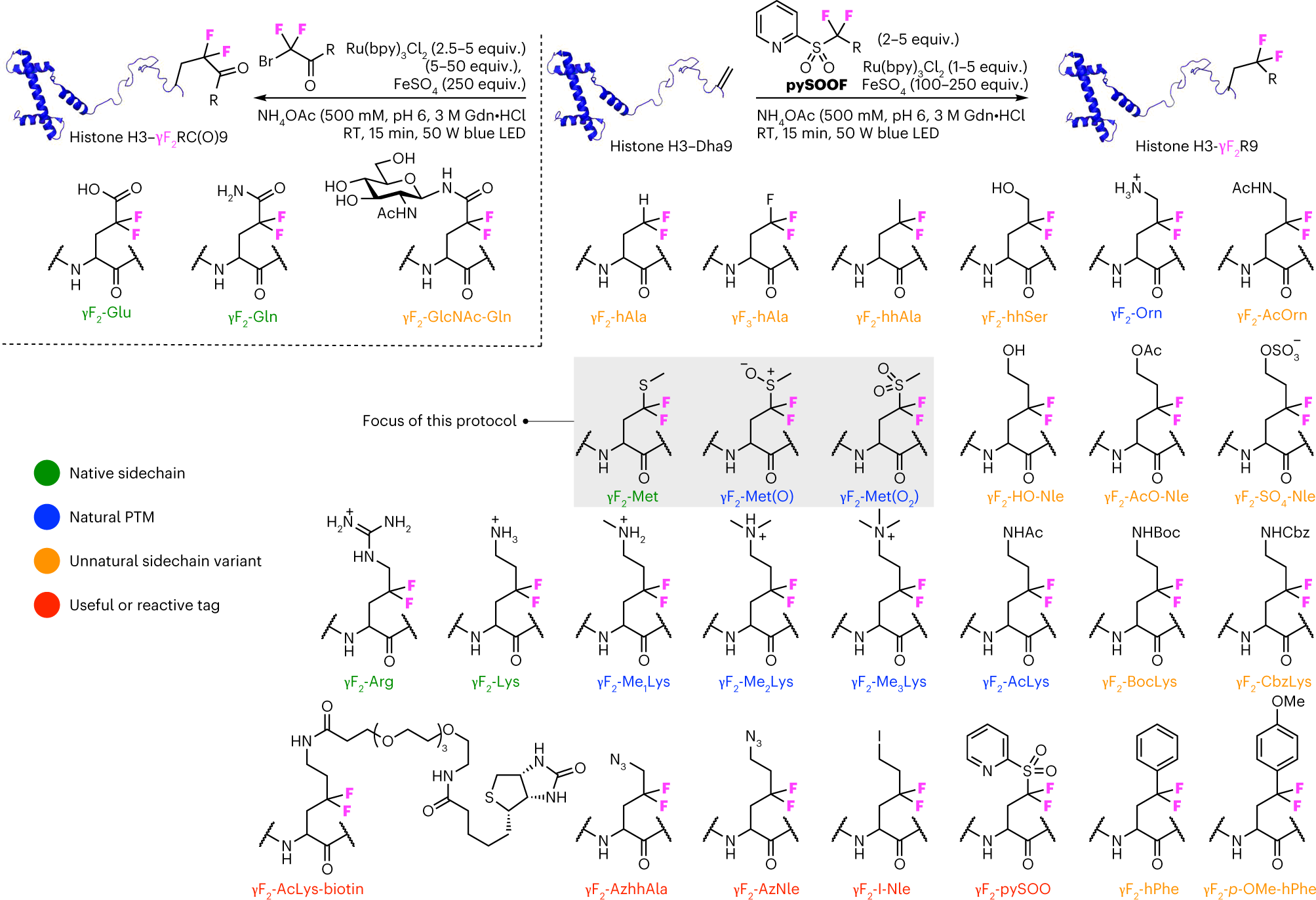 Fig. 2: The range of γCF2-containing sidechains that can be introduced by C–C-bond formation.