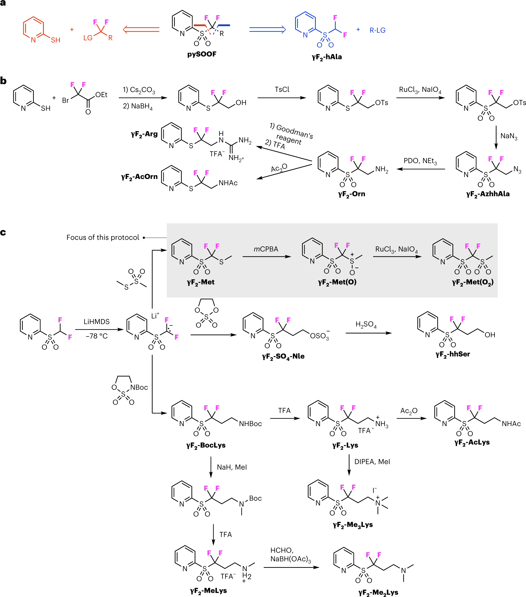 Fig. 3: The synthesis of pySOOF reagents for C• radical generation in protein mutagenesis.