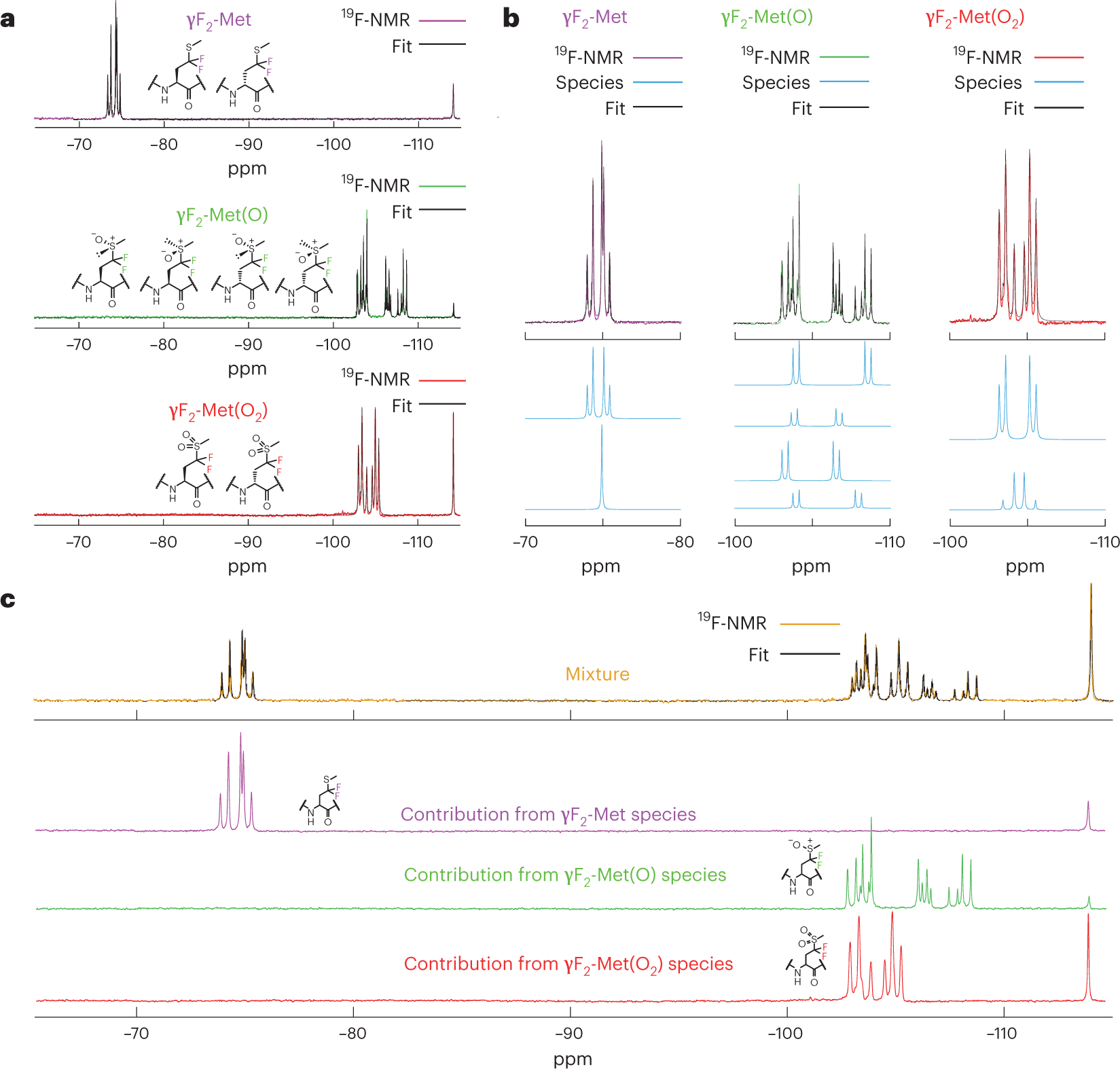 Fig. 5: 19F-NMR allows the distinction of labeled methionine diastereoisomers in the context of an intact protein.