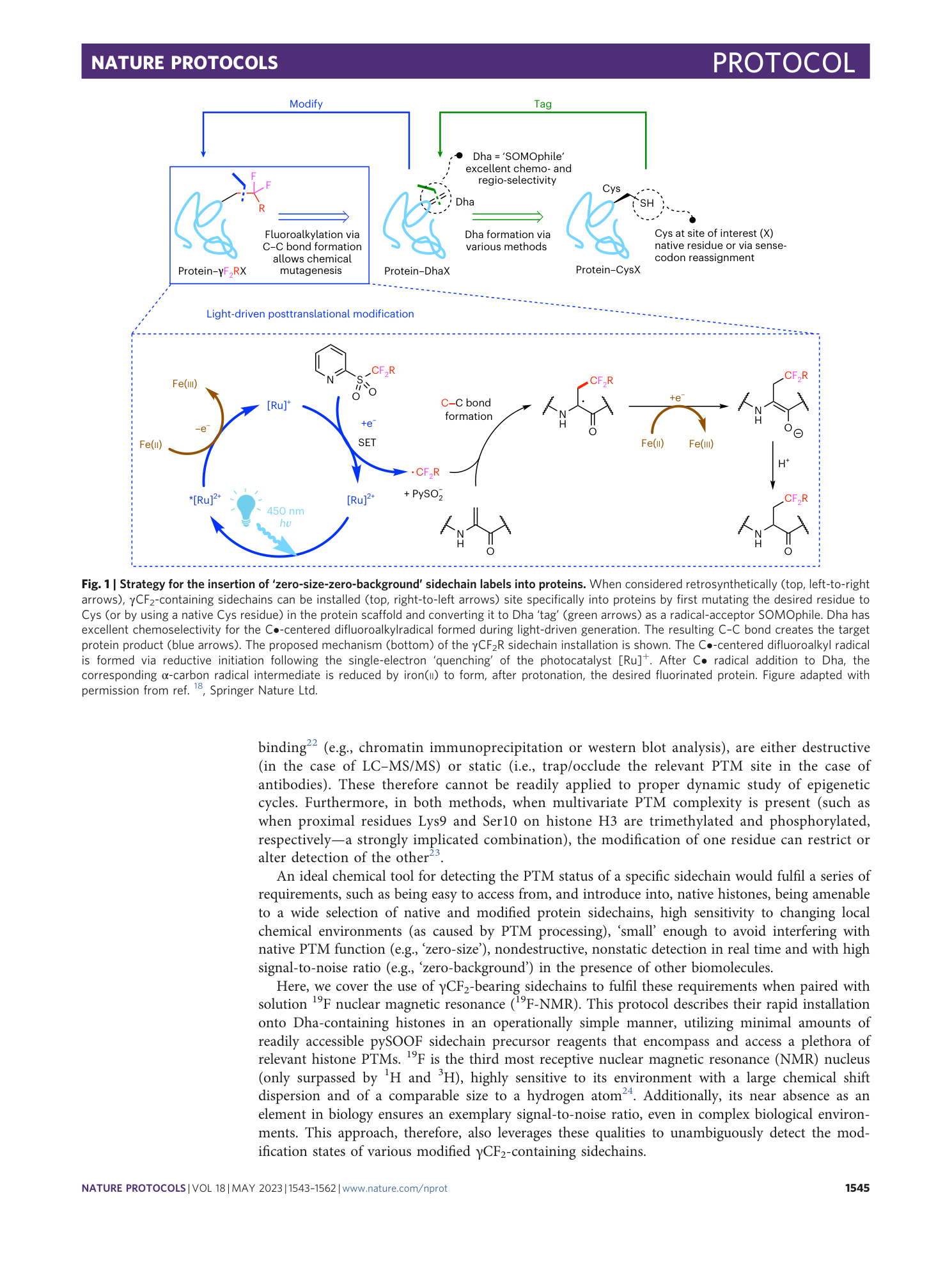 page-3