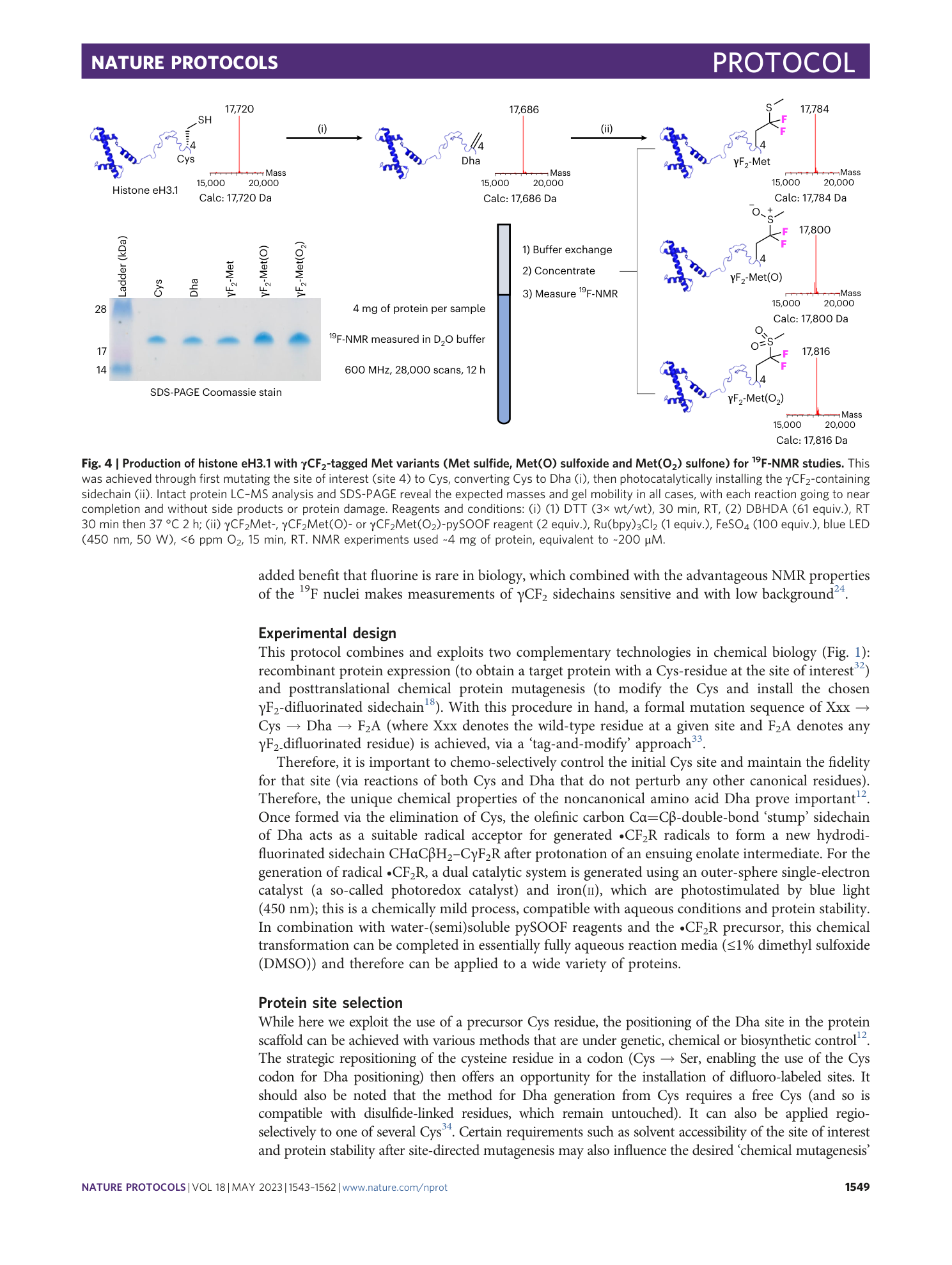 page-7