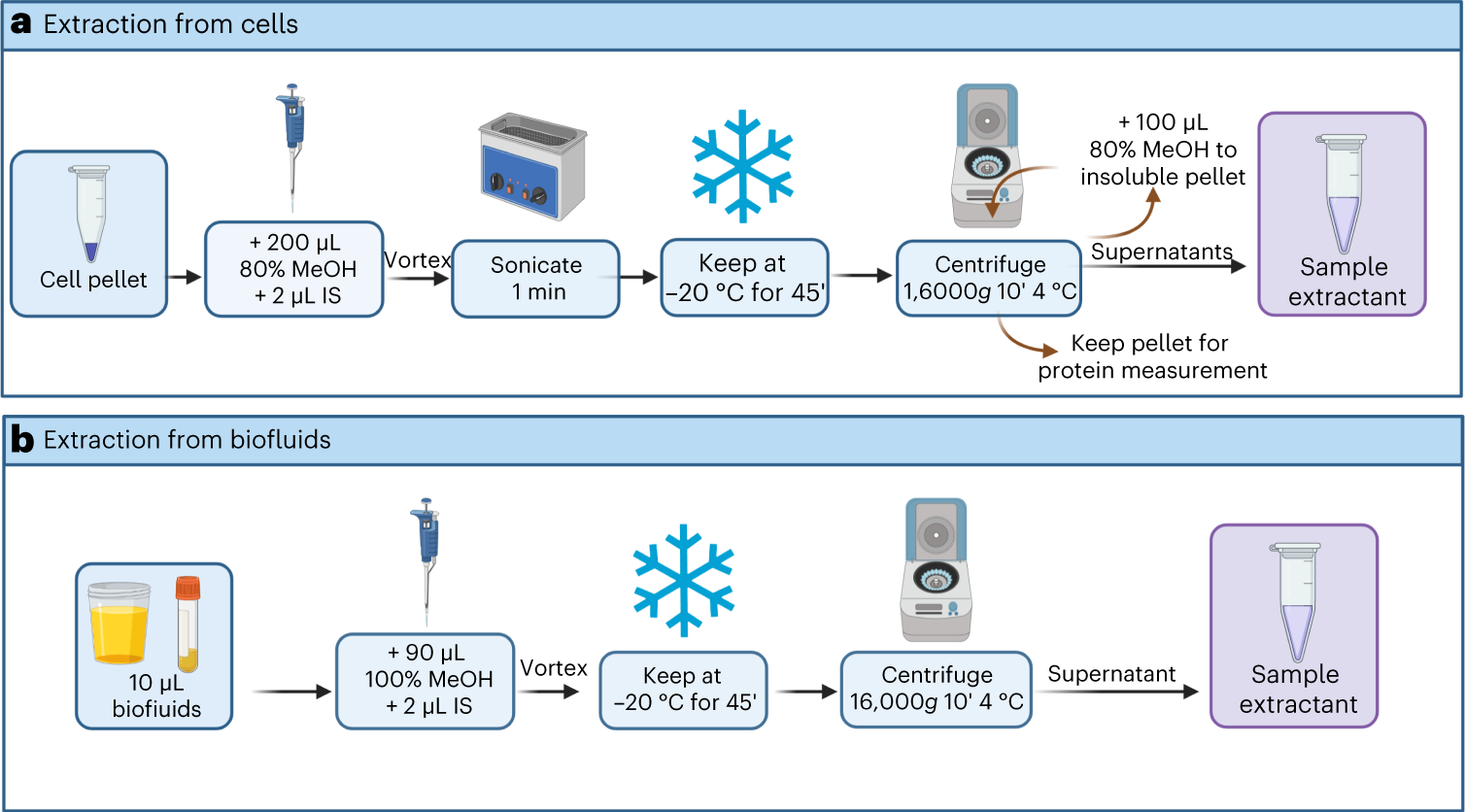 Fig. 5: Extraction protocol for the analysis of dl-2-HG from cell pellets or biofluids.