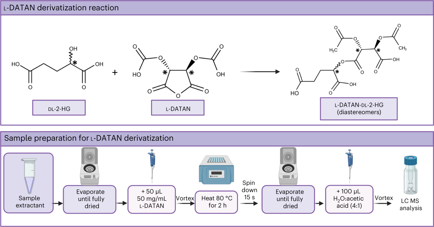 Fig. 6: Derivatization reaction scheme and sample protocol to achieve the derivatization of dl-2-HG with l-DATAN.