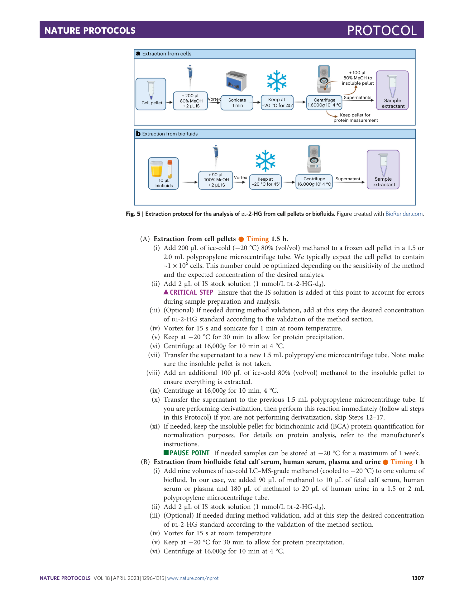 page-12