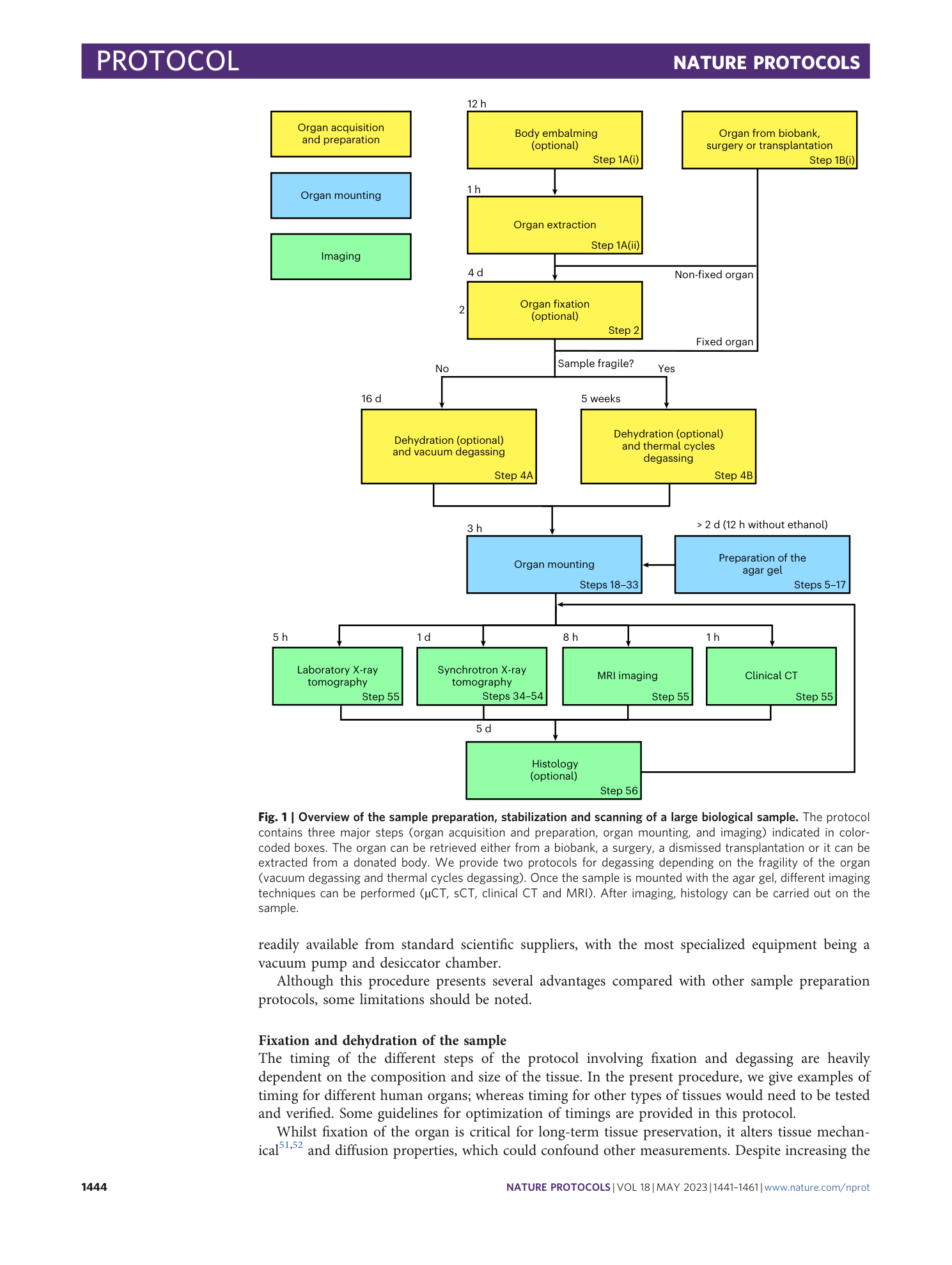 page-4