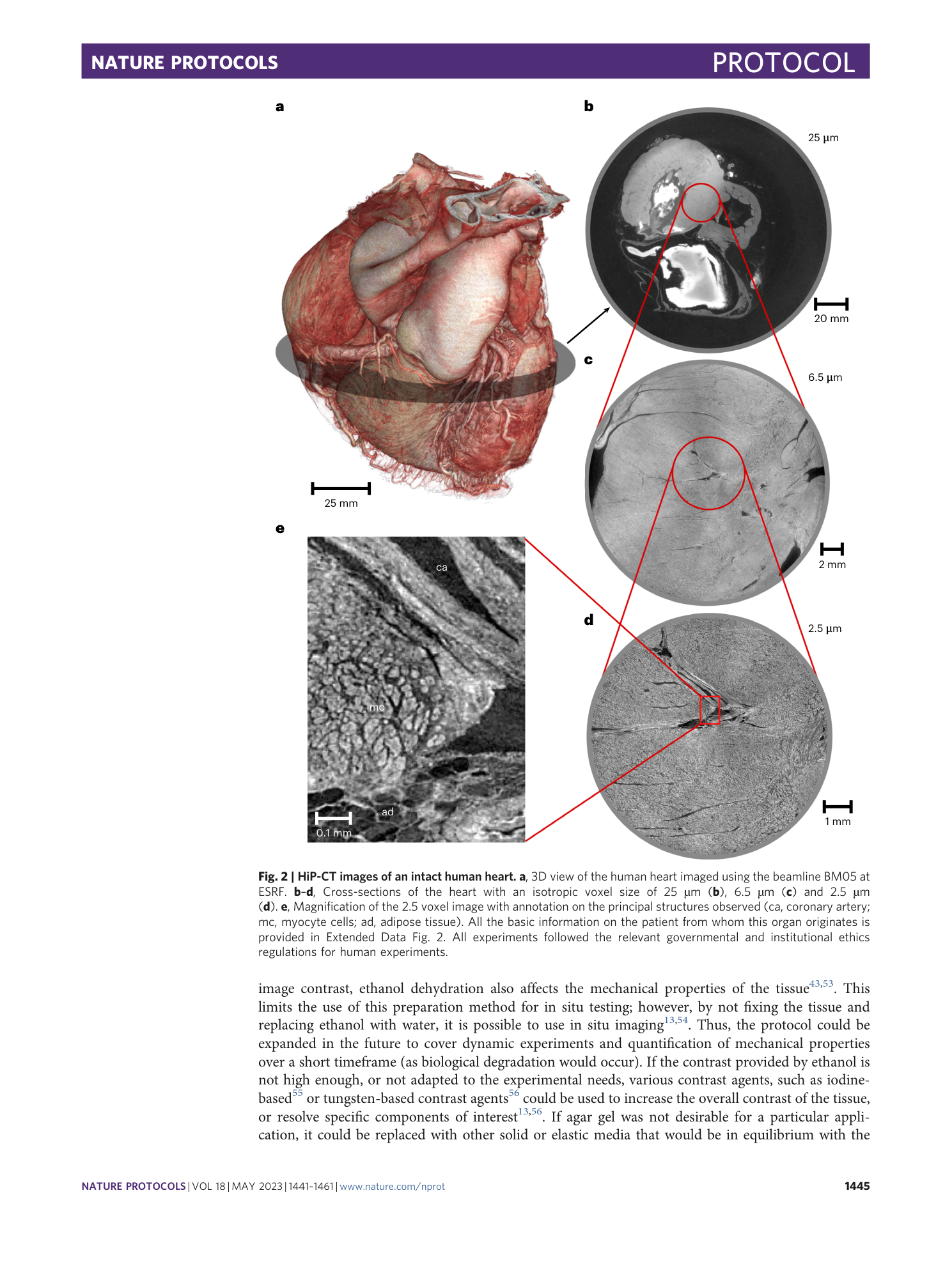 page-5