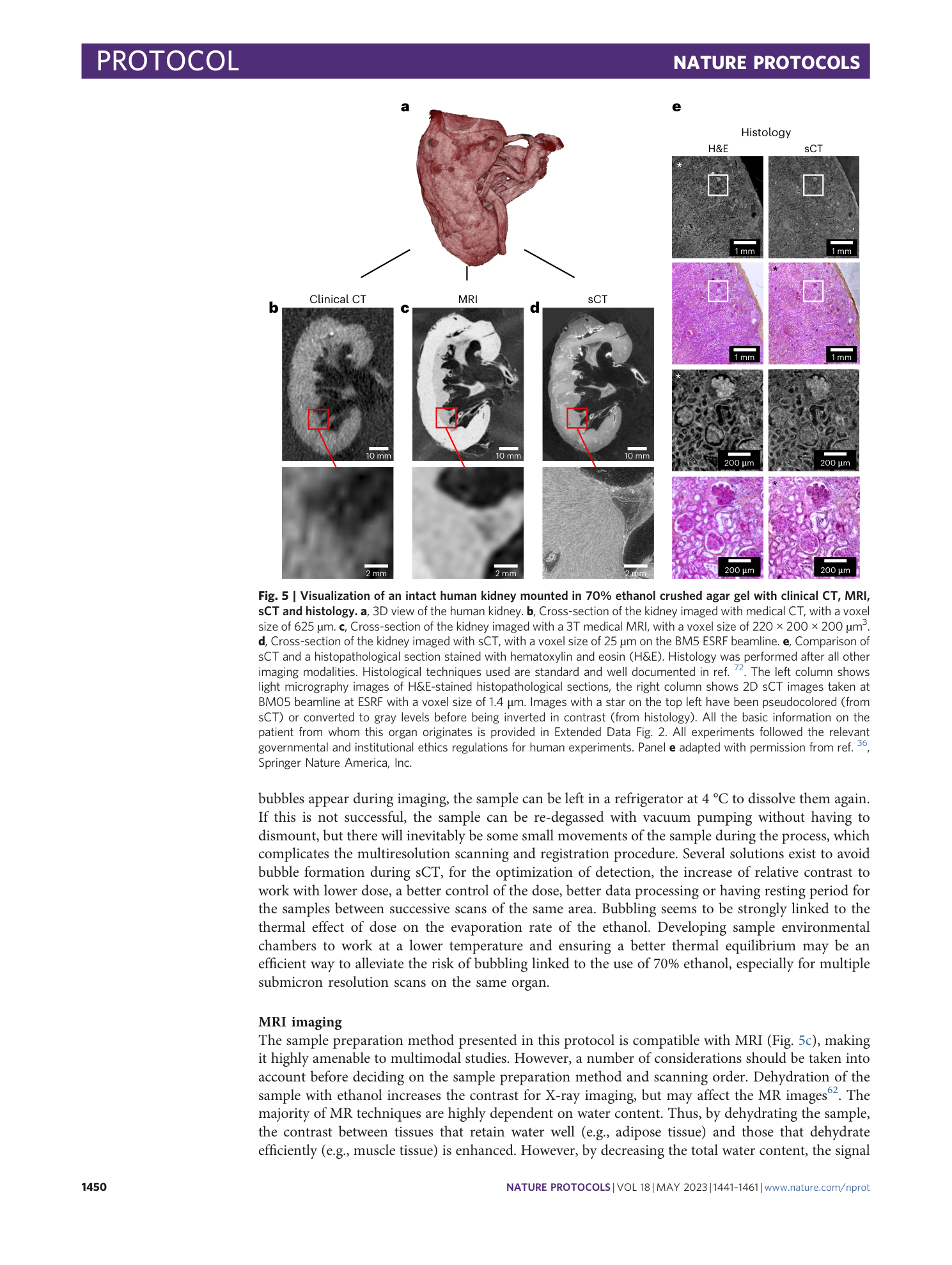 page-10