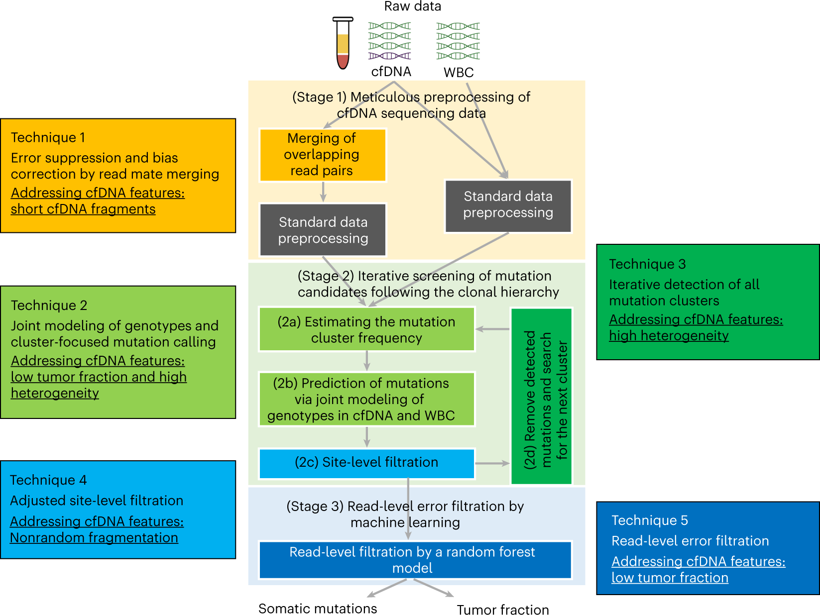 Fig. 1: The cfSNV workflow and its techniques.