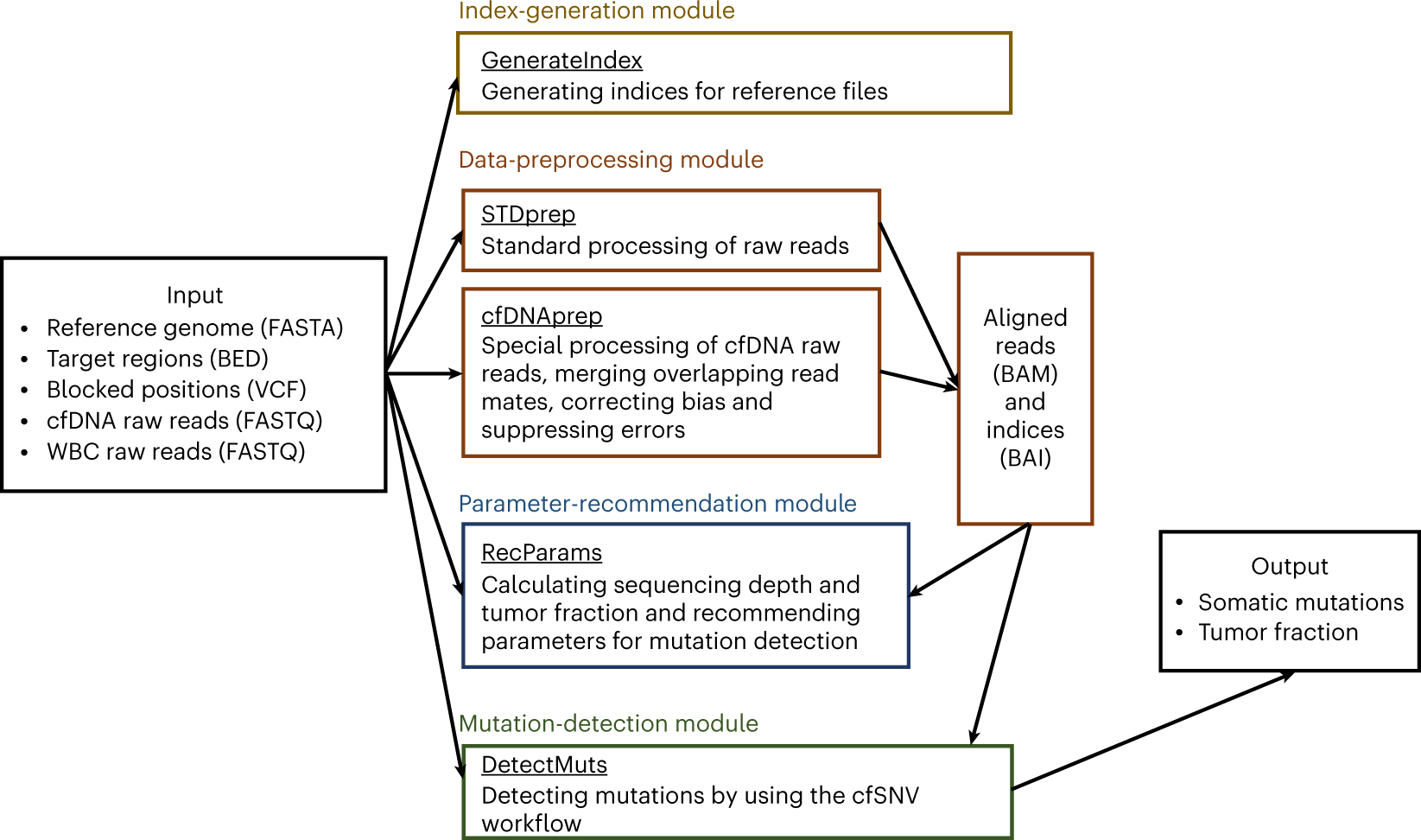 Fig. 2: Four modules in the cfSNV Docker package.