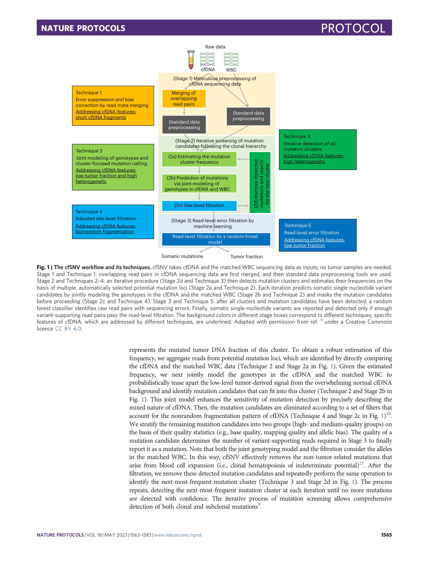 page-3