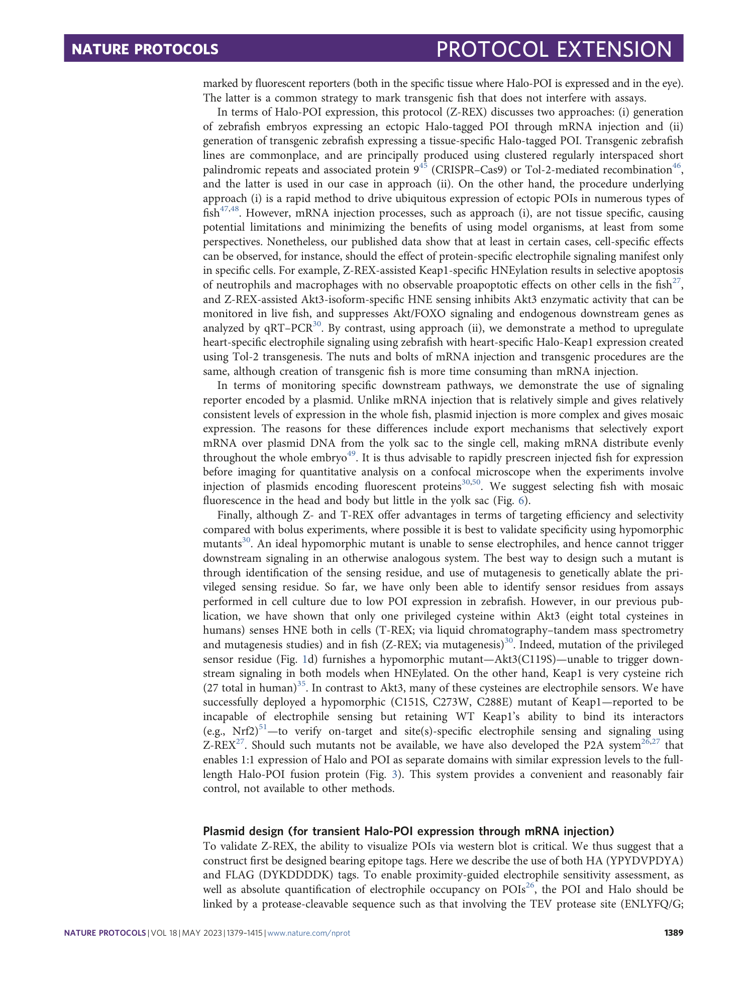 page-11
