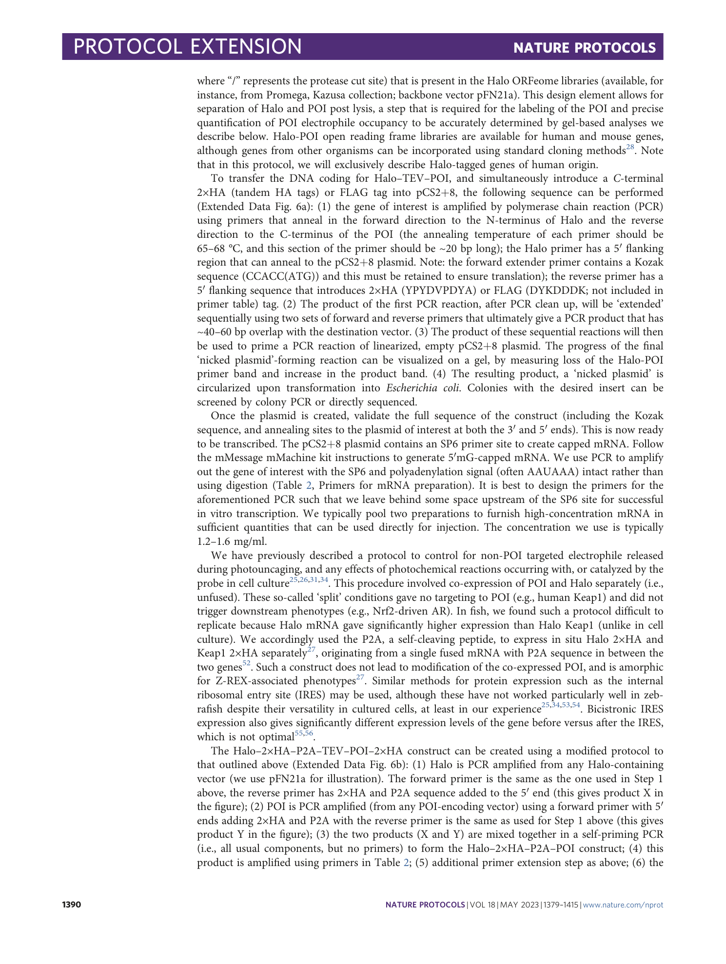 page-12