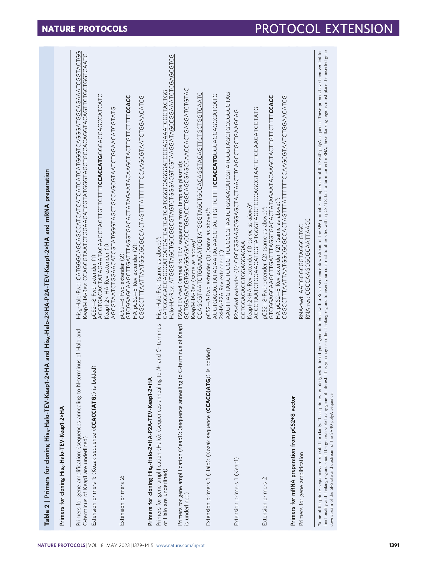 page-13