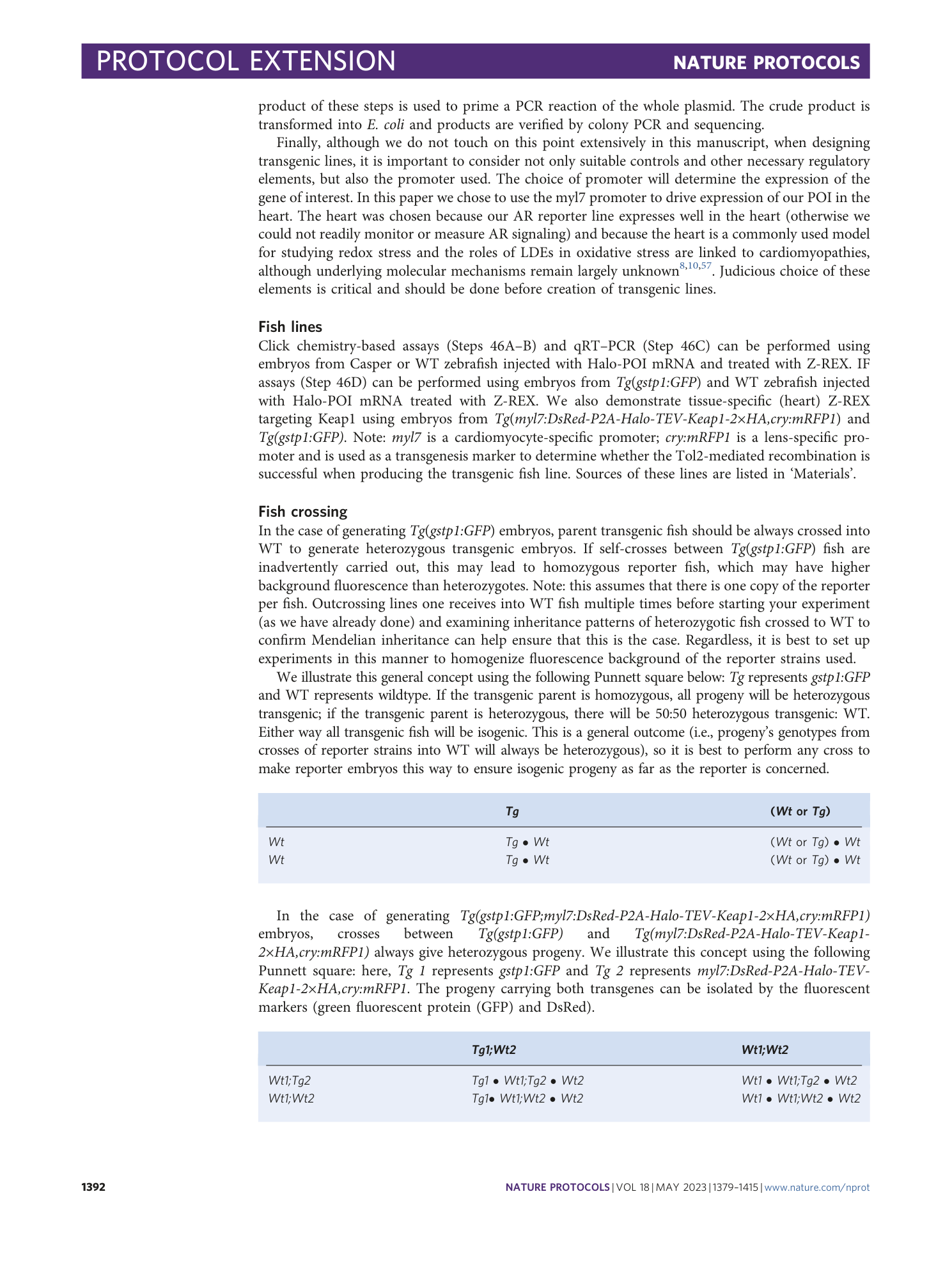 page-14