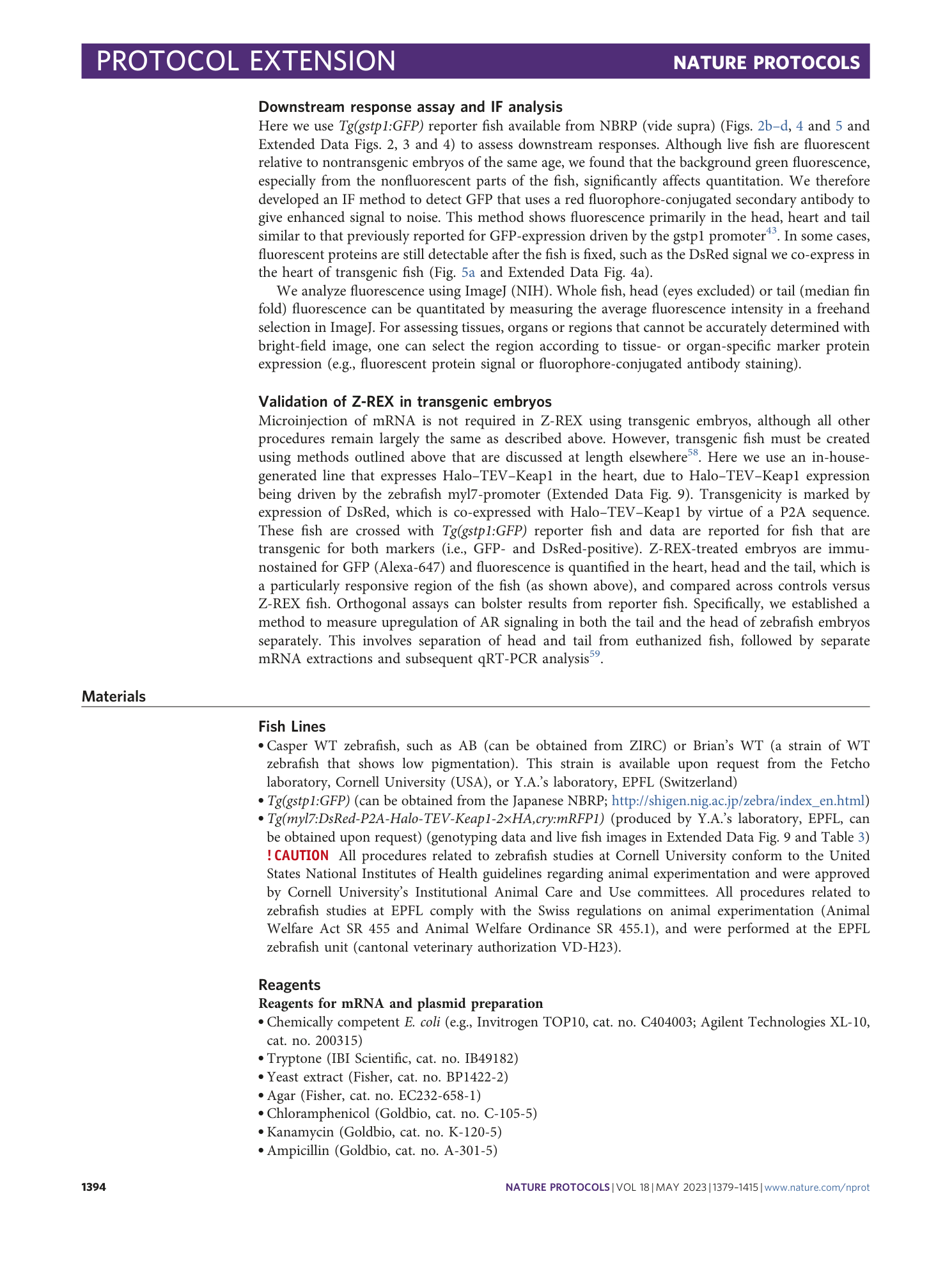 page-16