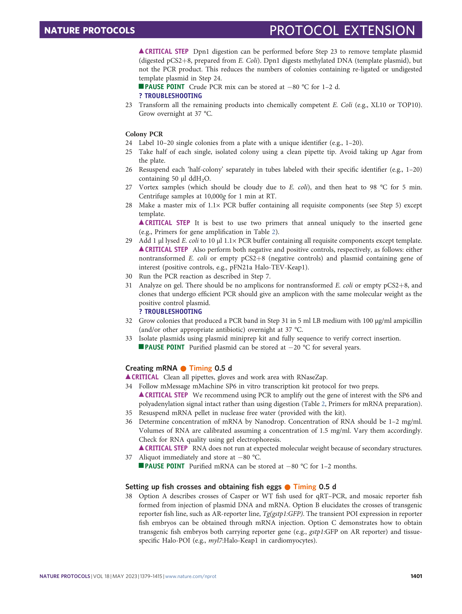 page-23
