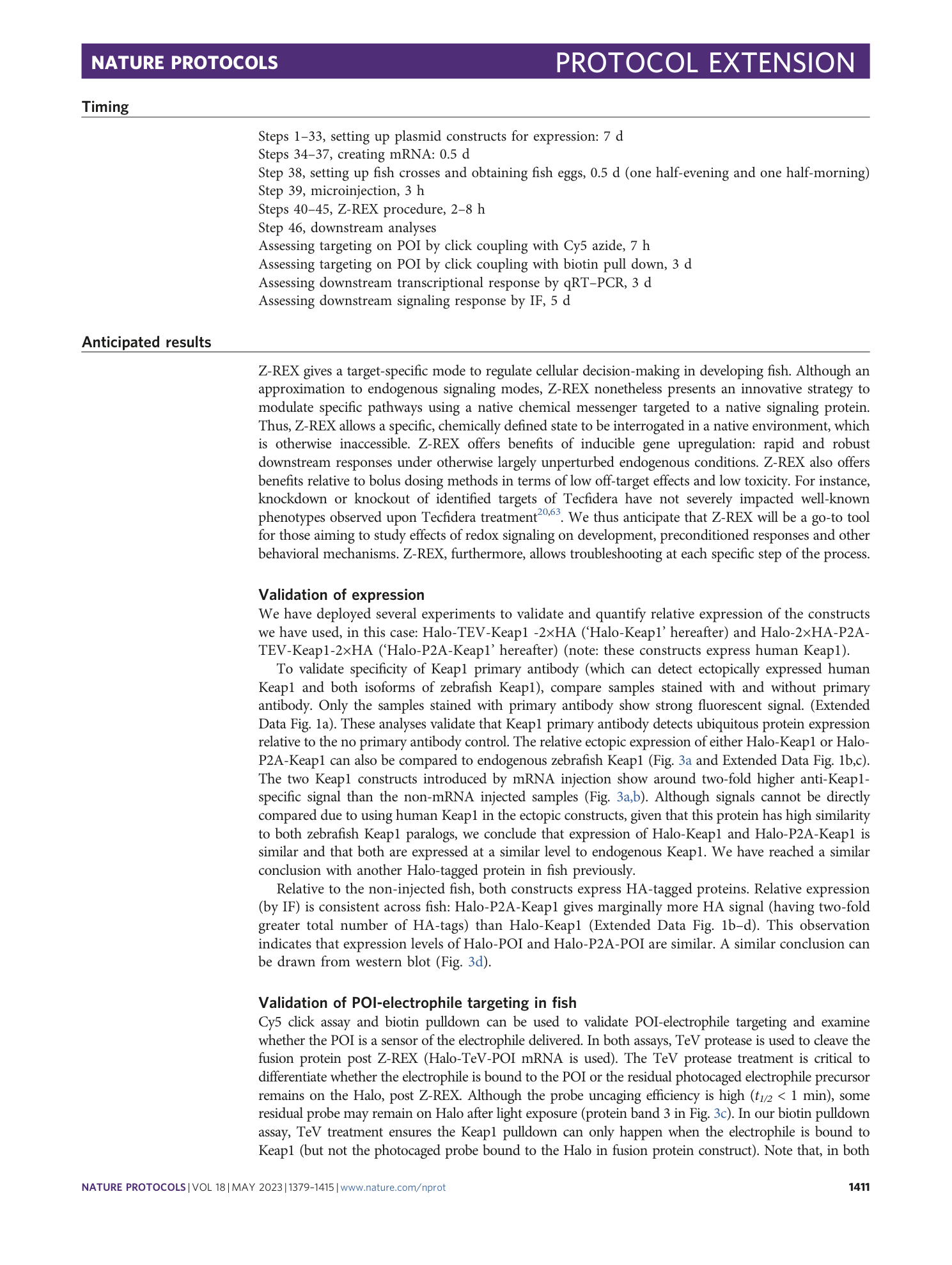 page-33