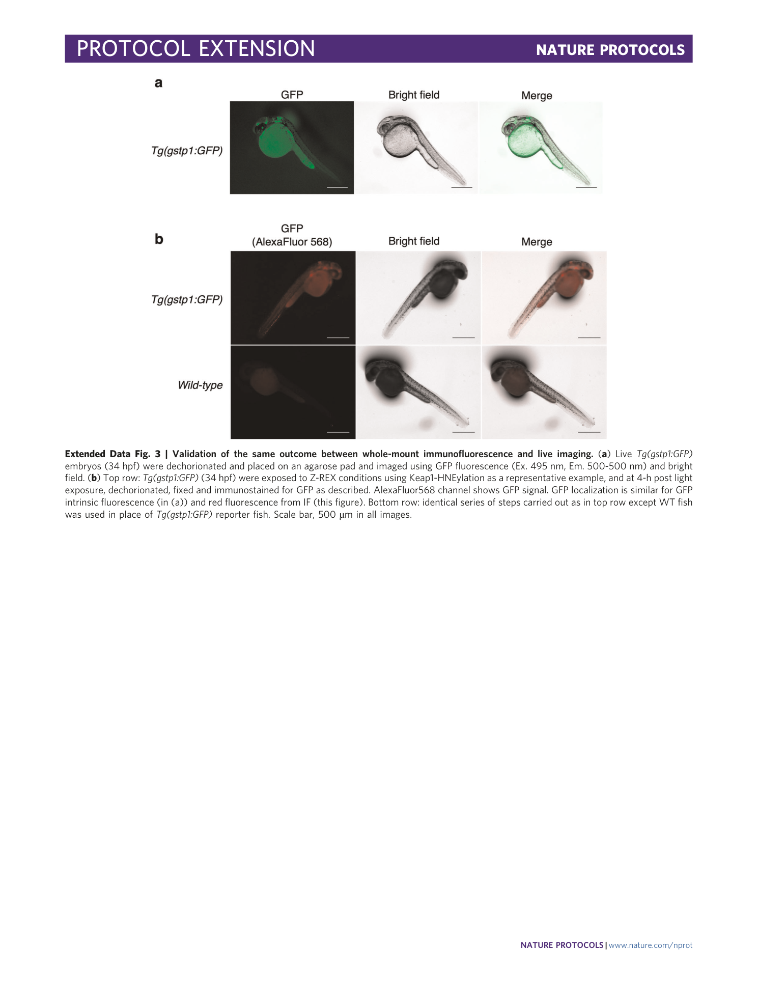 page-40