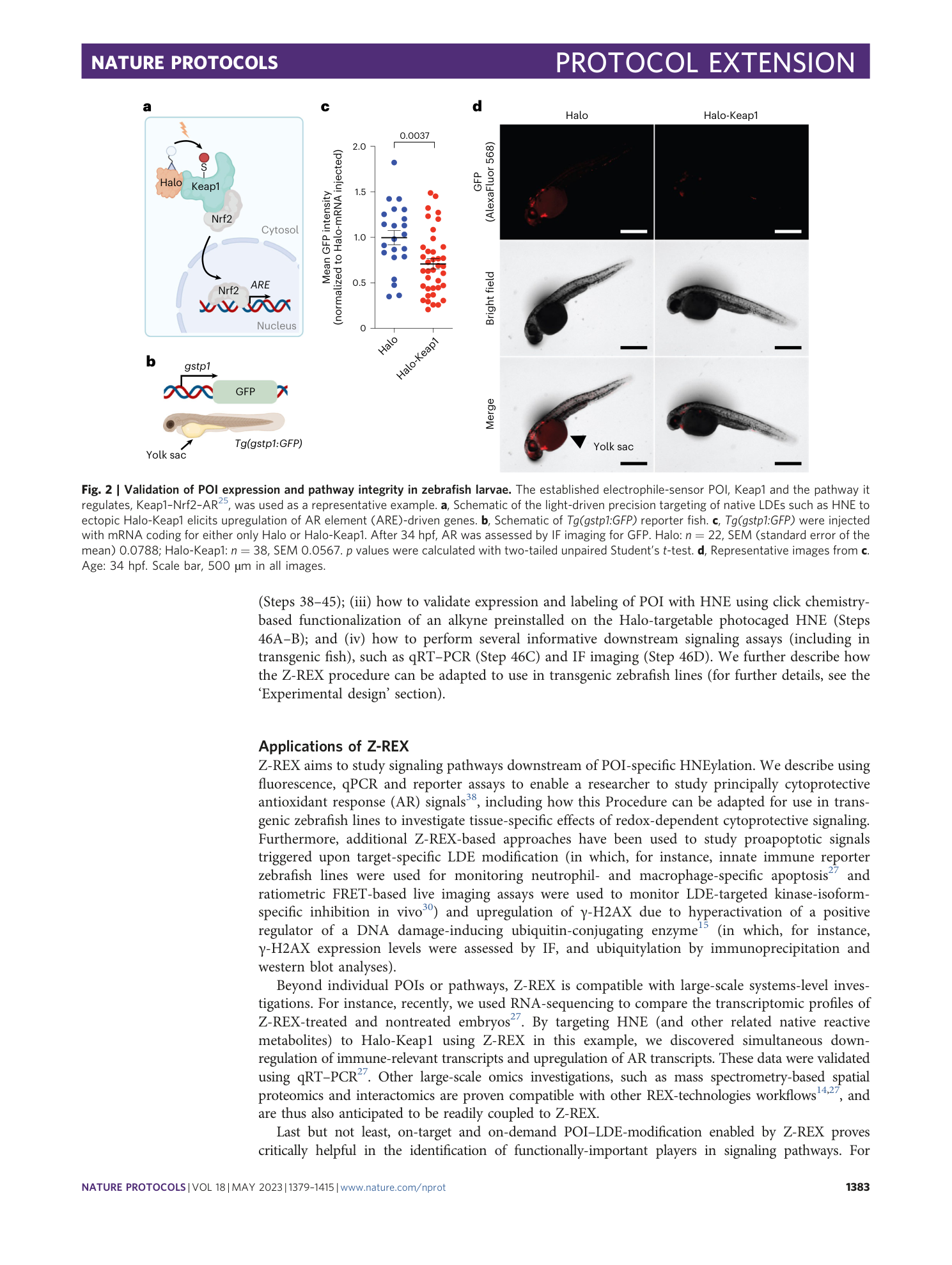 page-5