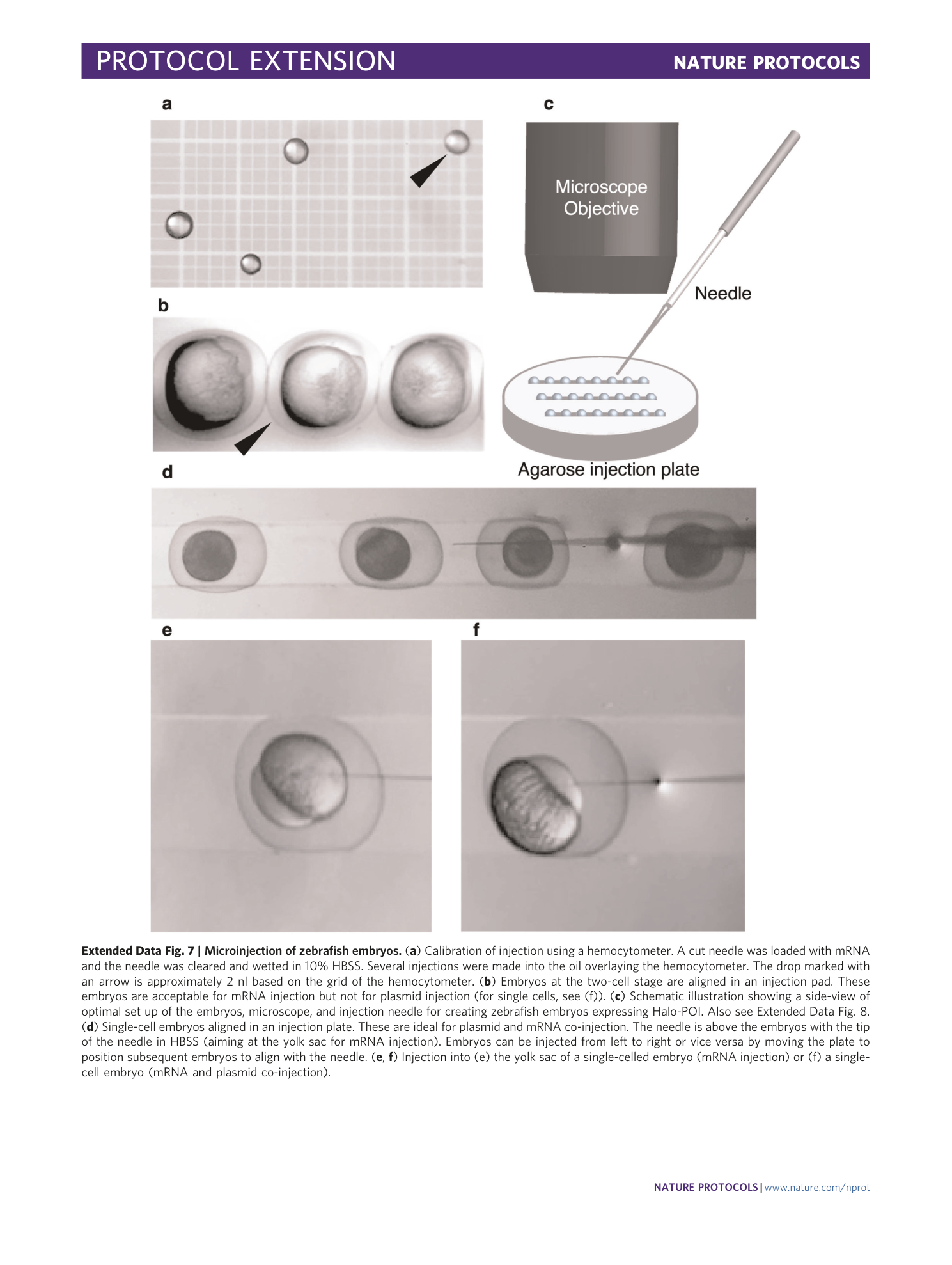 page-44