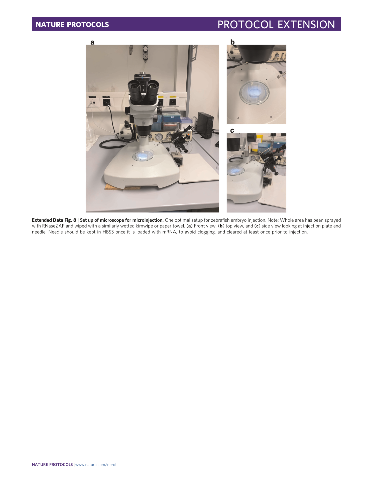 page-45