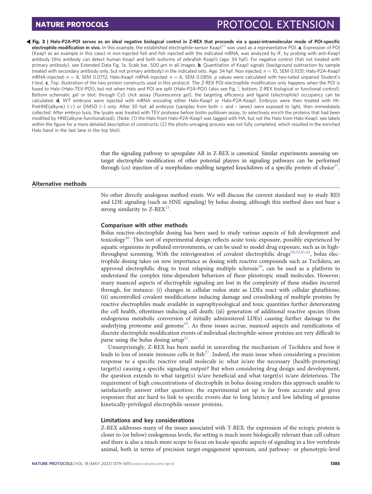 page-7