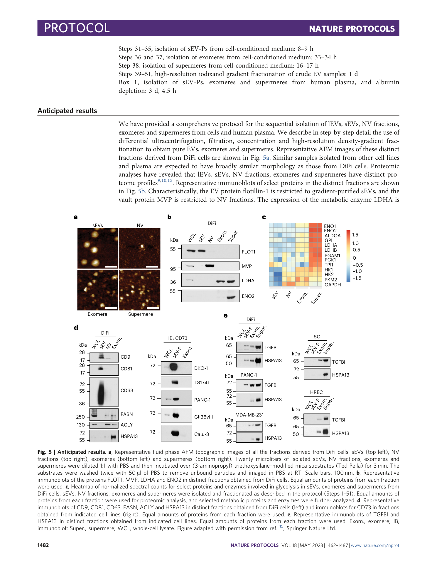 page-21