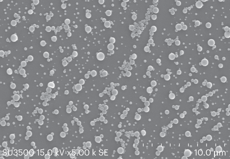 Fig. 7: The preparation of CLEs of TLL.
