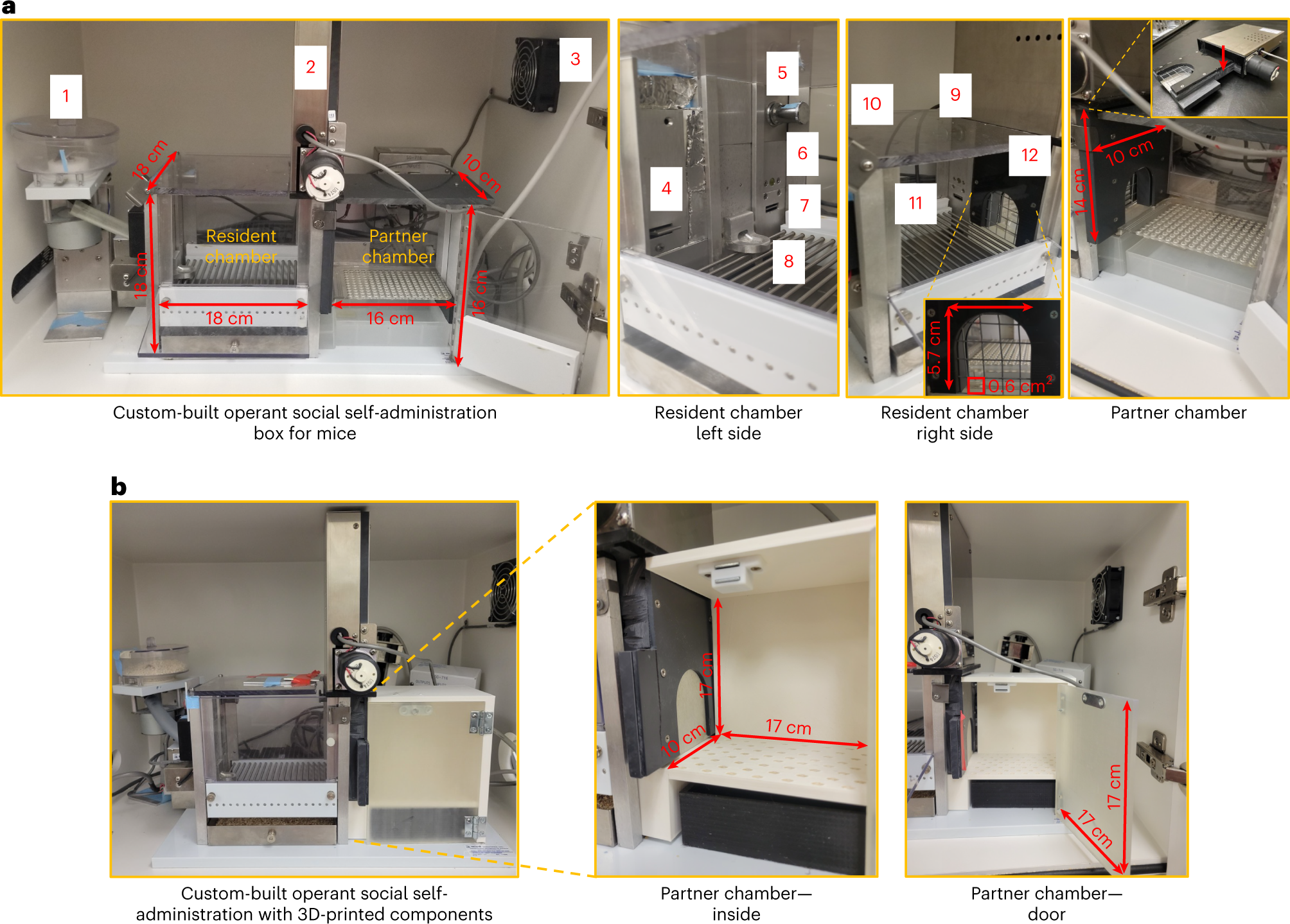 Fig. 1: Social-choice self-administration apparatus.