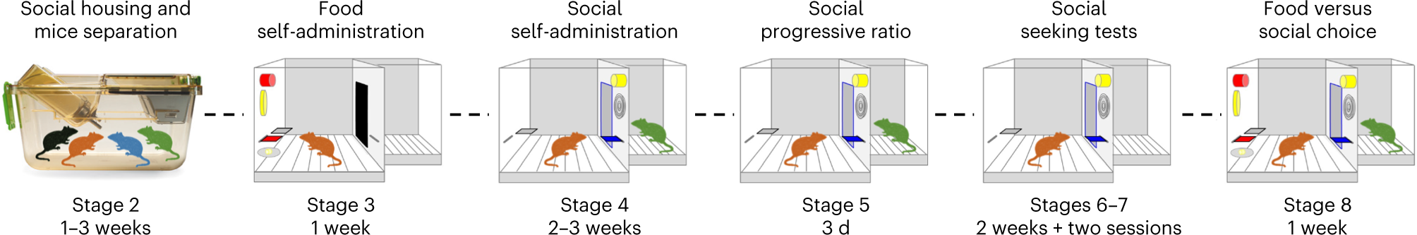 Fig. 2: Protocol timeline.