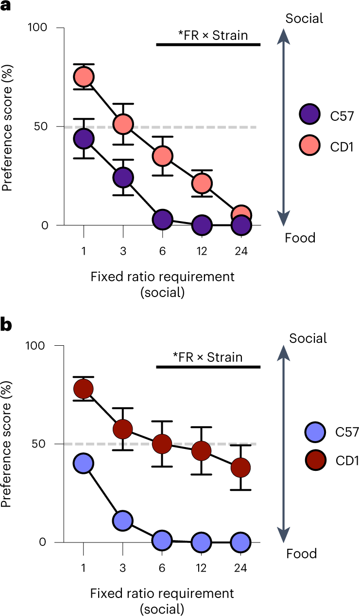 Fig. 4: Testing the preference for social interaction versus palatable food.