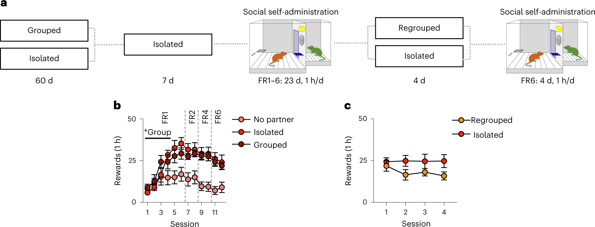 Fig. 5: Testing the effect of housing conditions on volitional social interaction in female mice.
