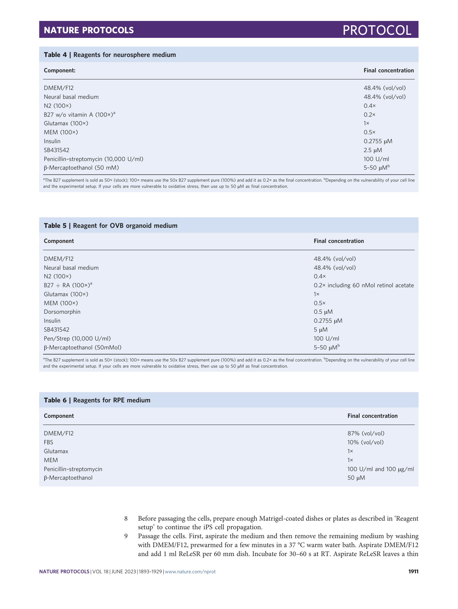page-19