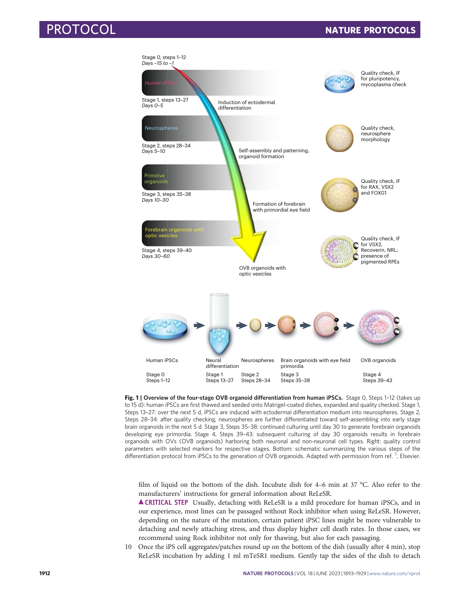 page-20