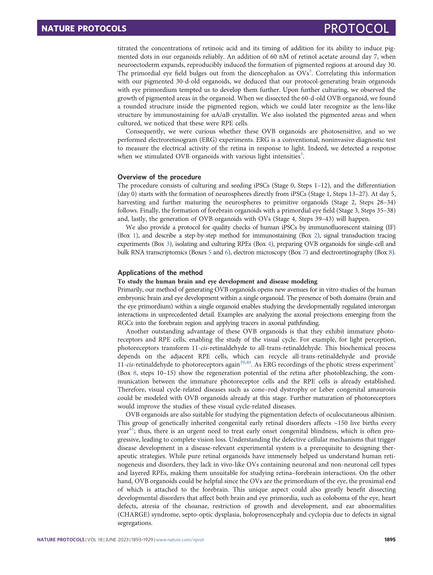 page-3