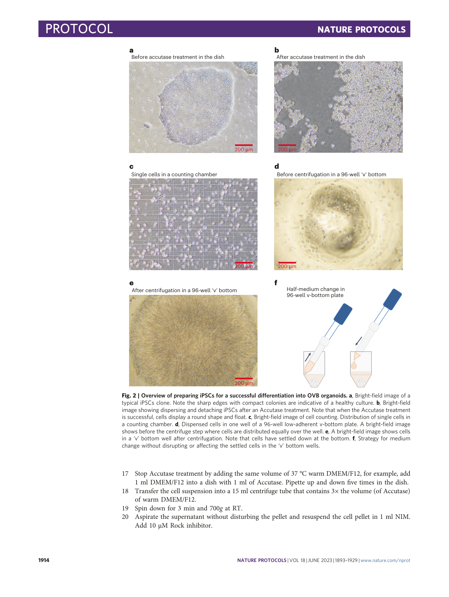 page-22