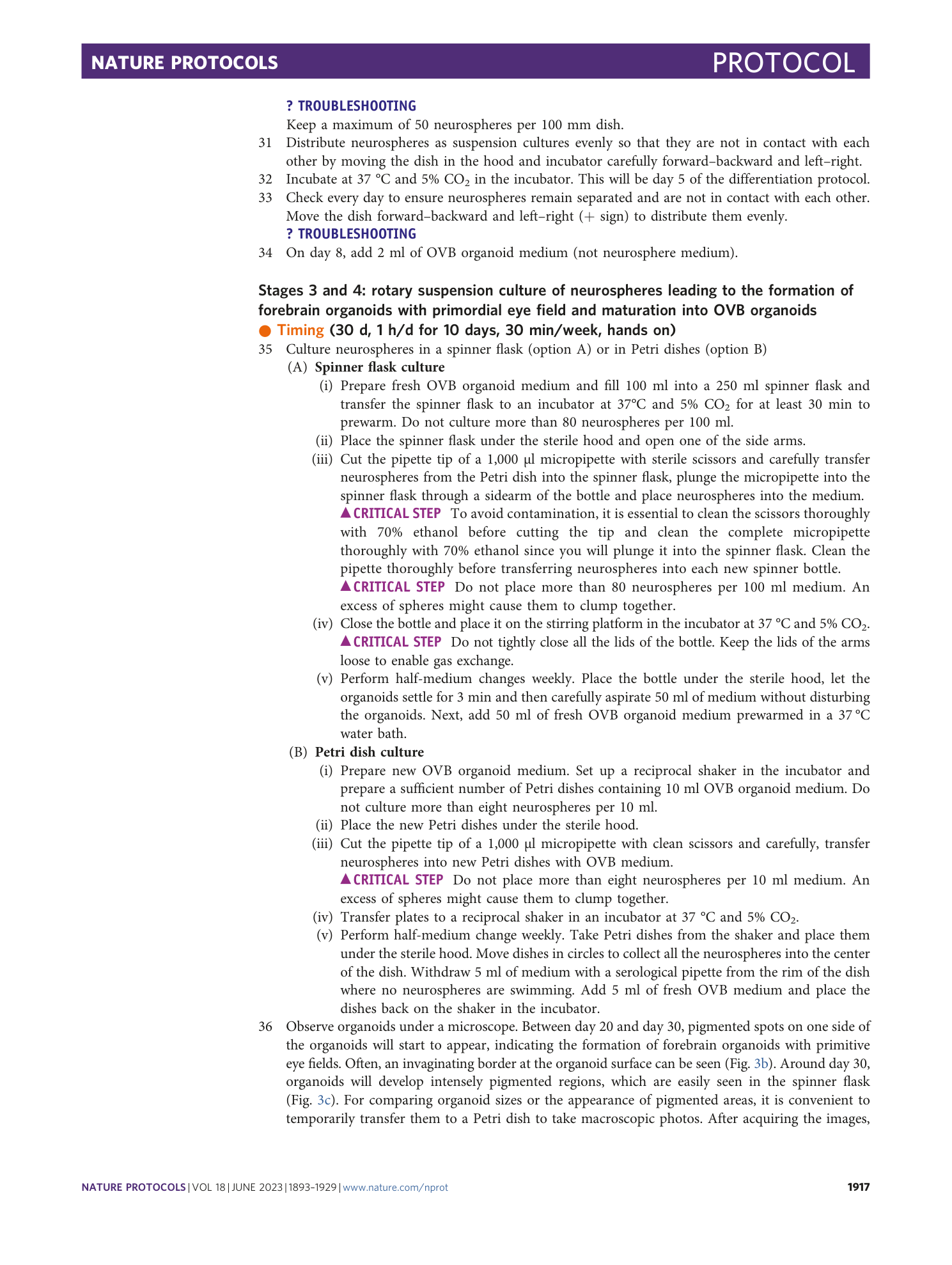 page-25