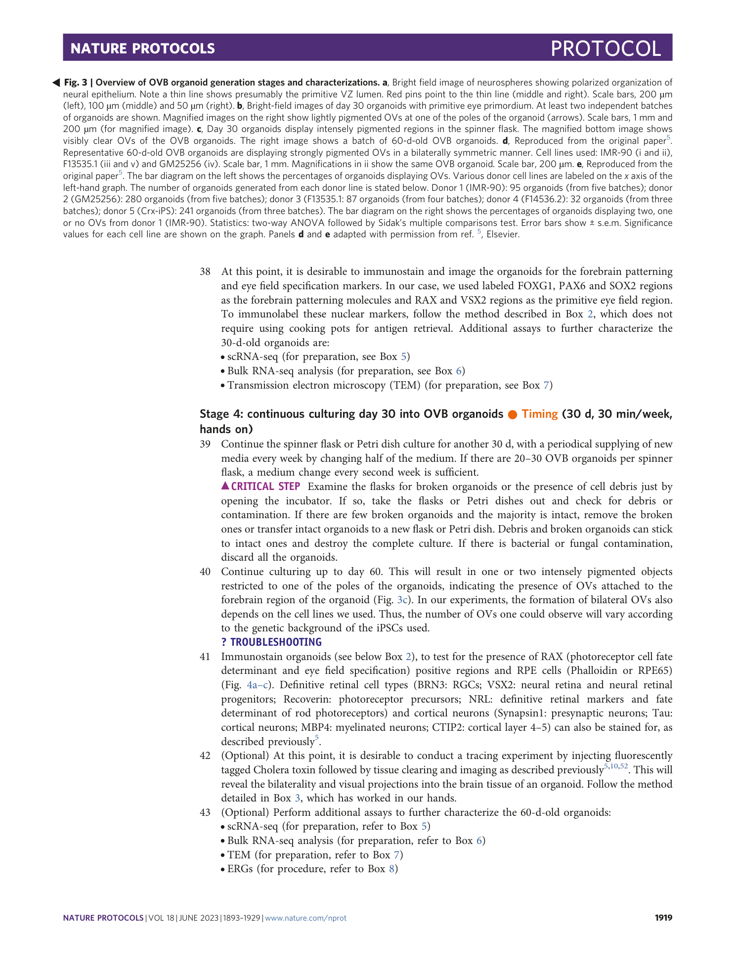 page-27