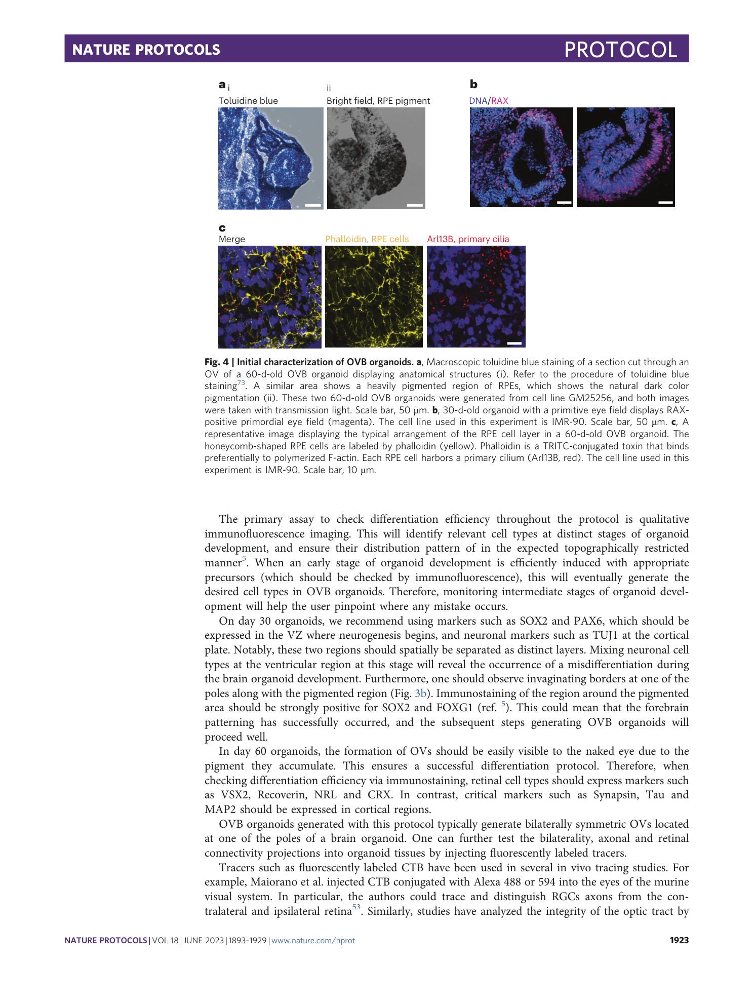 page-31