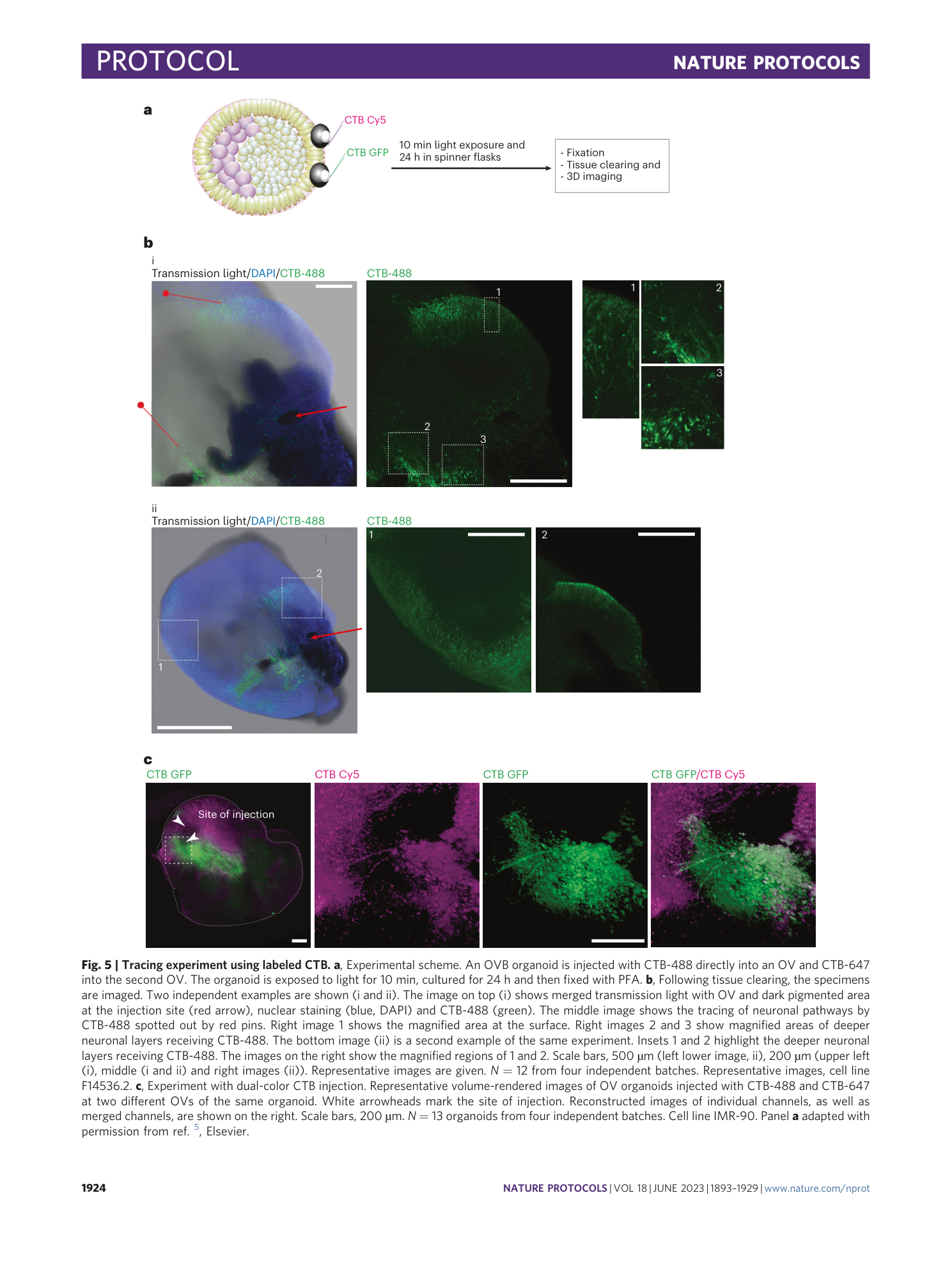 page-32
