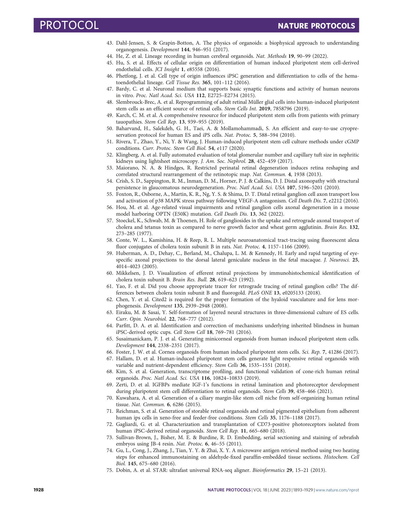 page-36