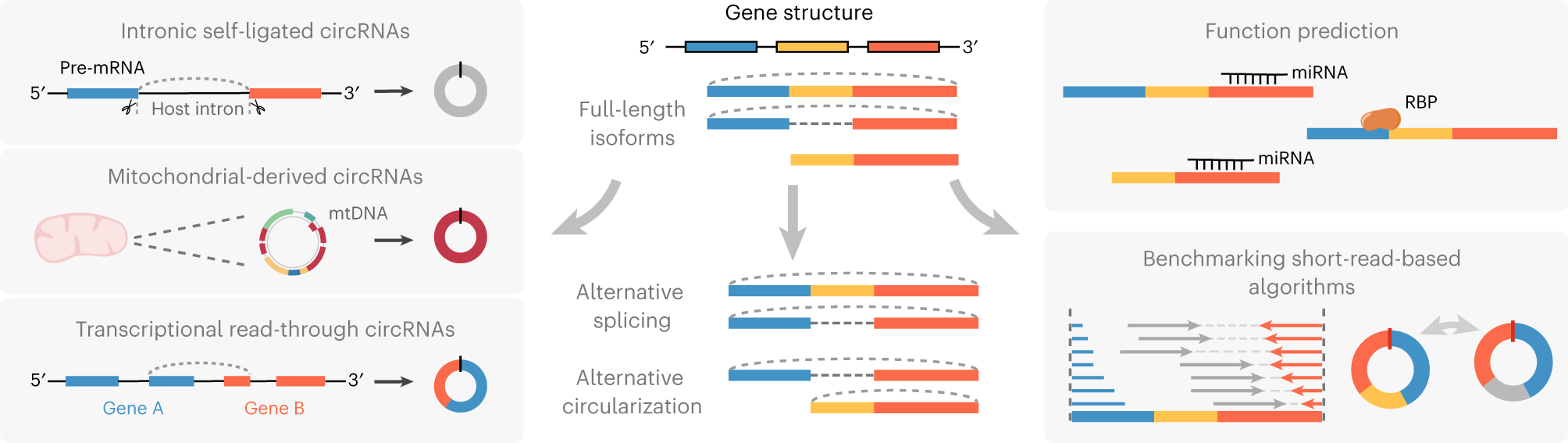 Fig. 2: Applications of the CIRI-long protocol.