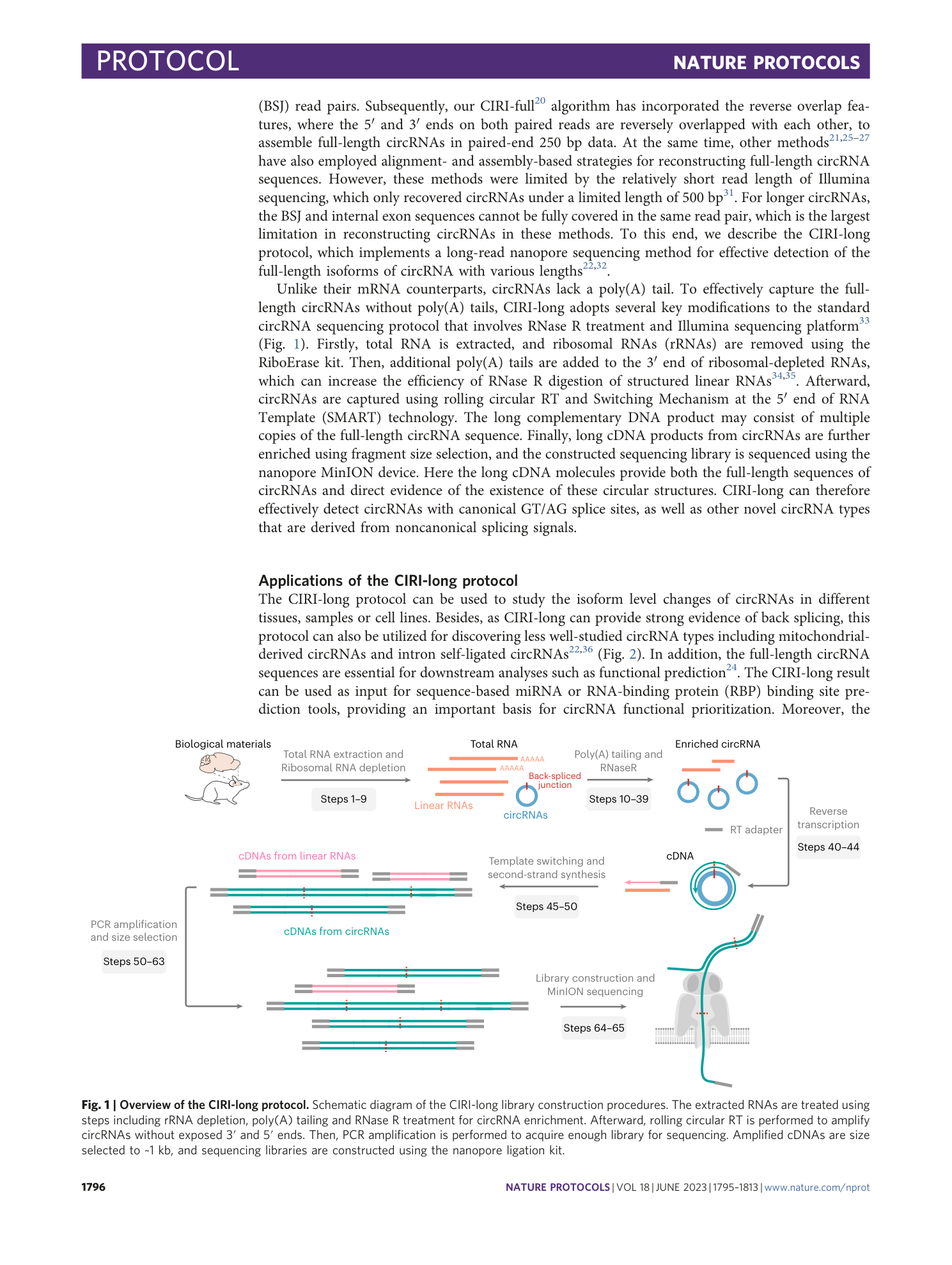 page-2
