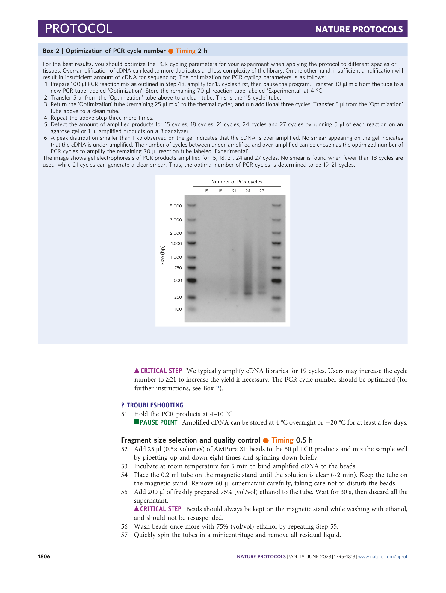 page-12