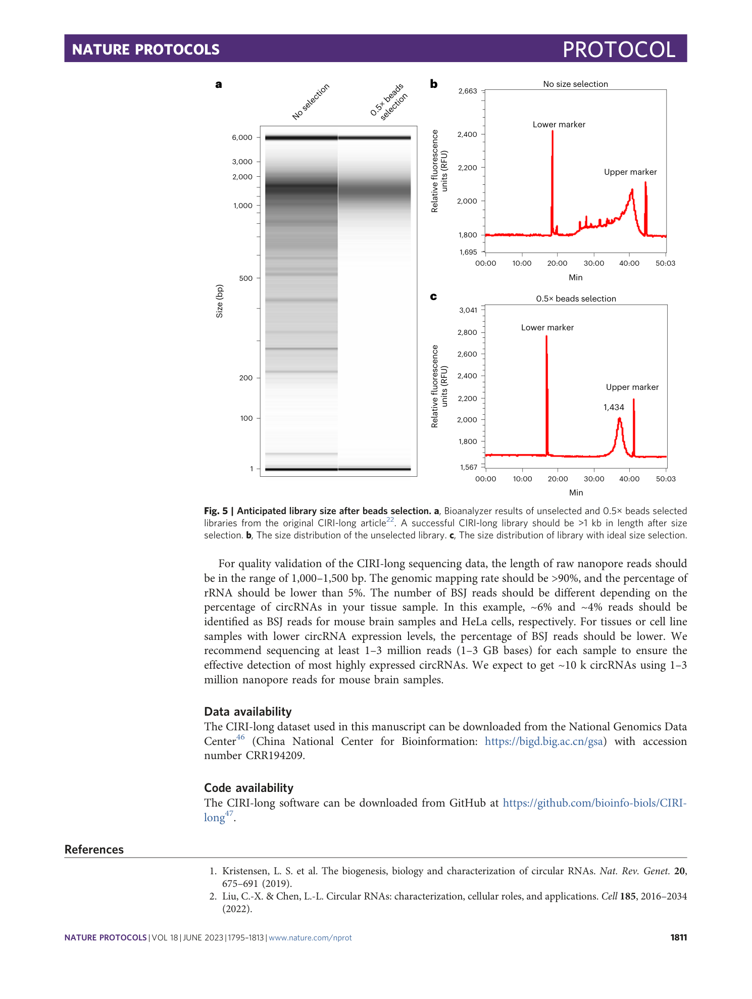 page-17