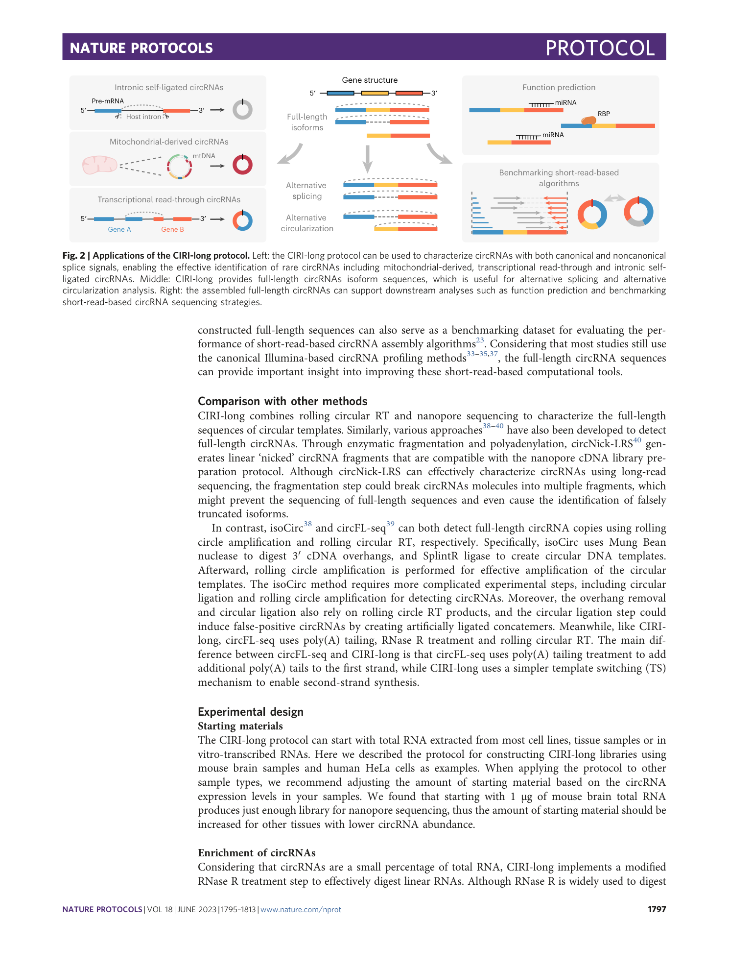 page-3