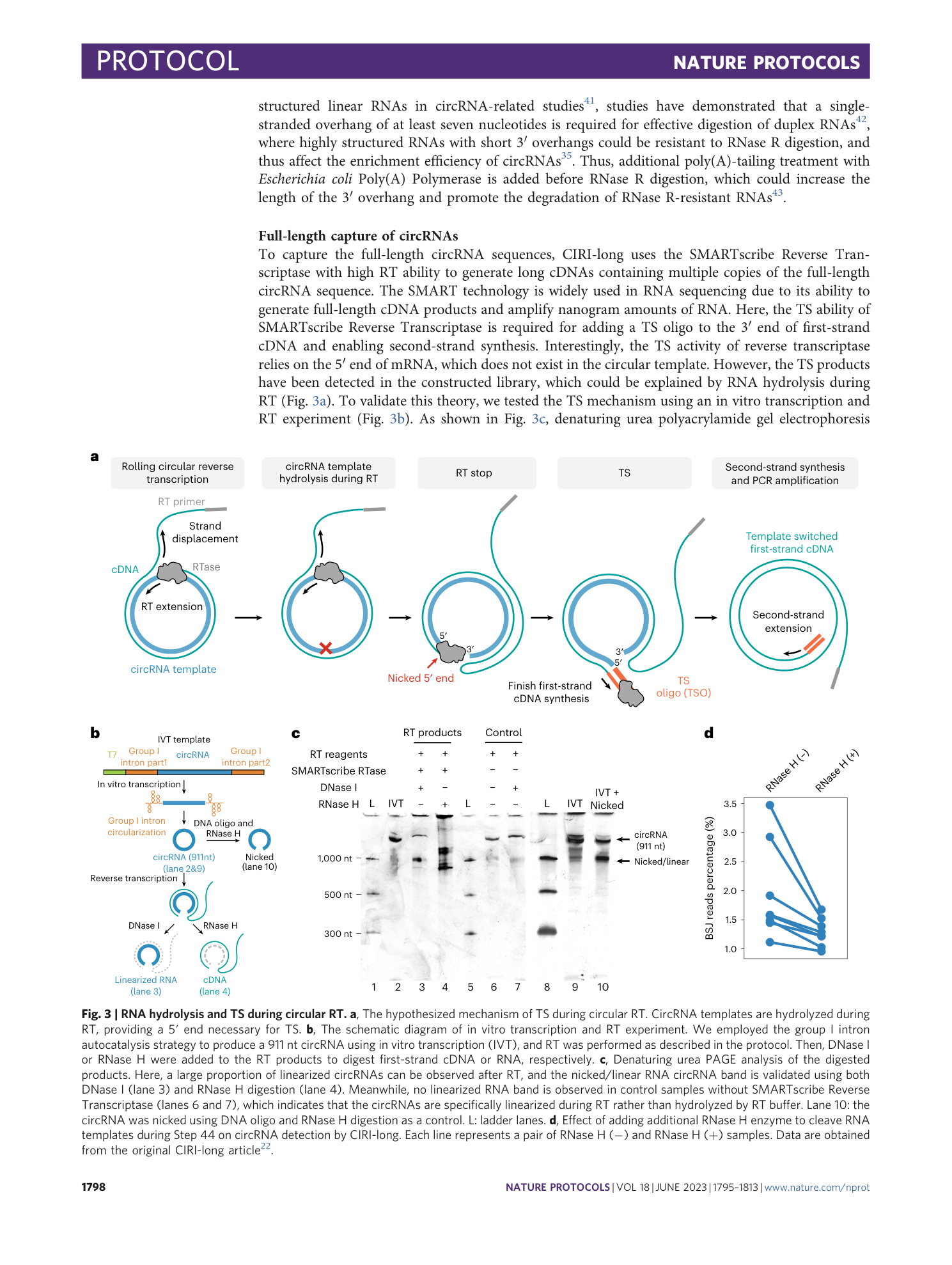 page-4