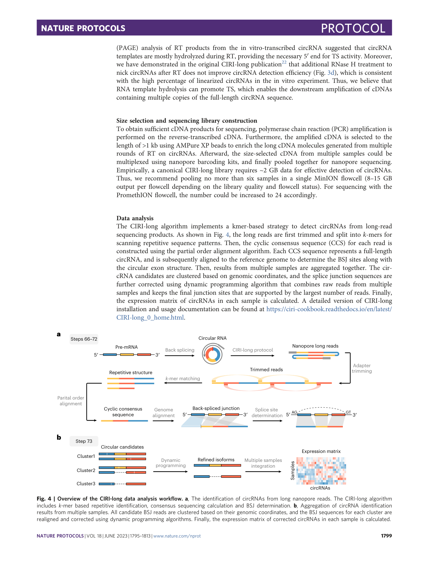 page-5