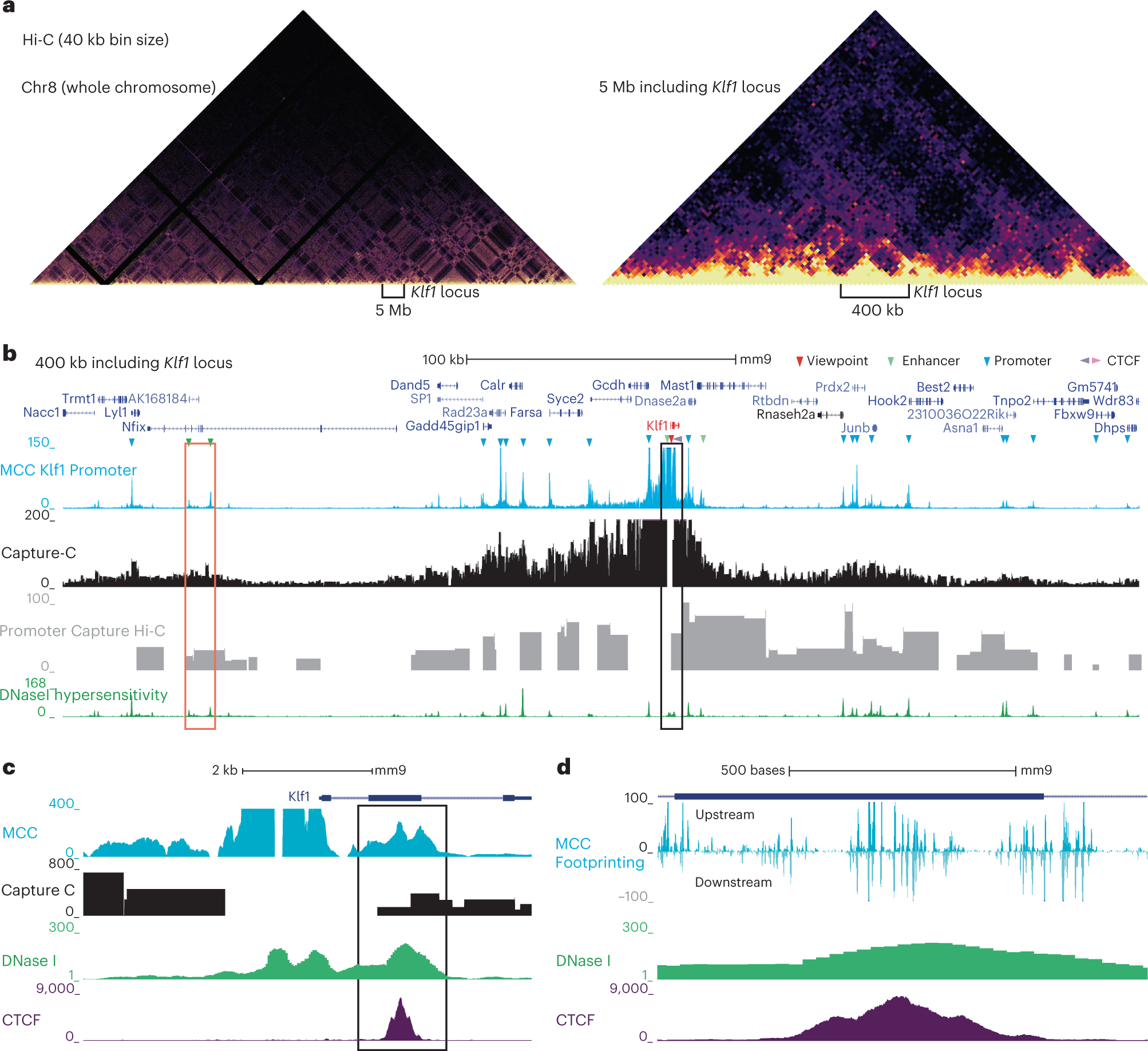 Fig. 1: Comparison of MCC with other techniques at the Klf1 locus.